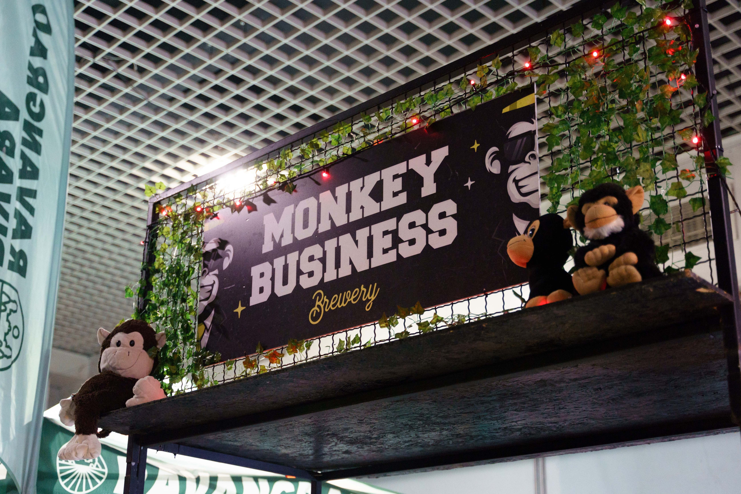 Dani piva u Novom Sadu 2024. Жуков Студио