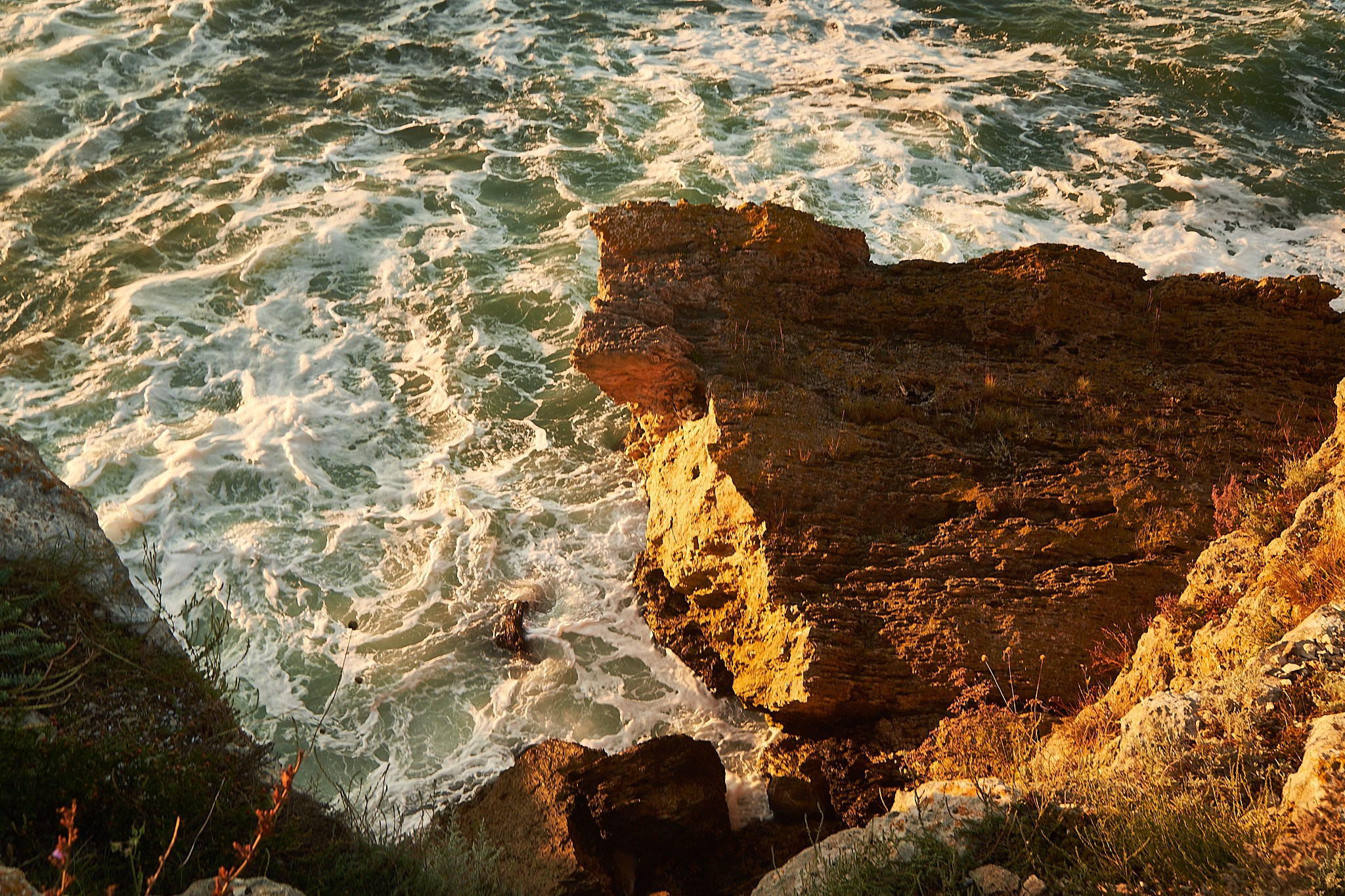 Tyulenovo, Bulgaria. Pagina principală