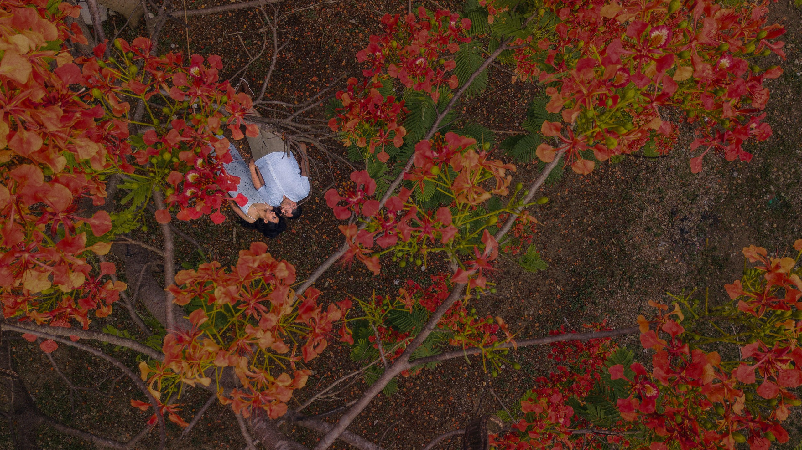 Chiapas, Palenque, Lagos de Montebello, San Cristobal de las Casas Save The Date Brenda y Leonel. Estudio de fotografia en Tijuana