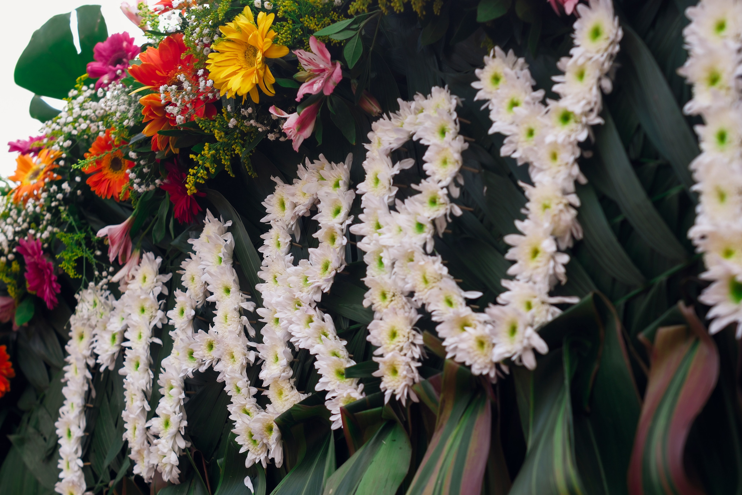 Alex & John. Wedding and family photographer in Mexico City