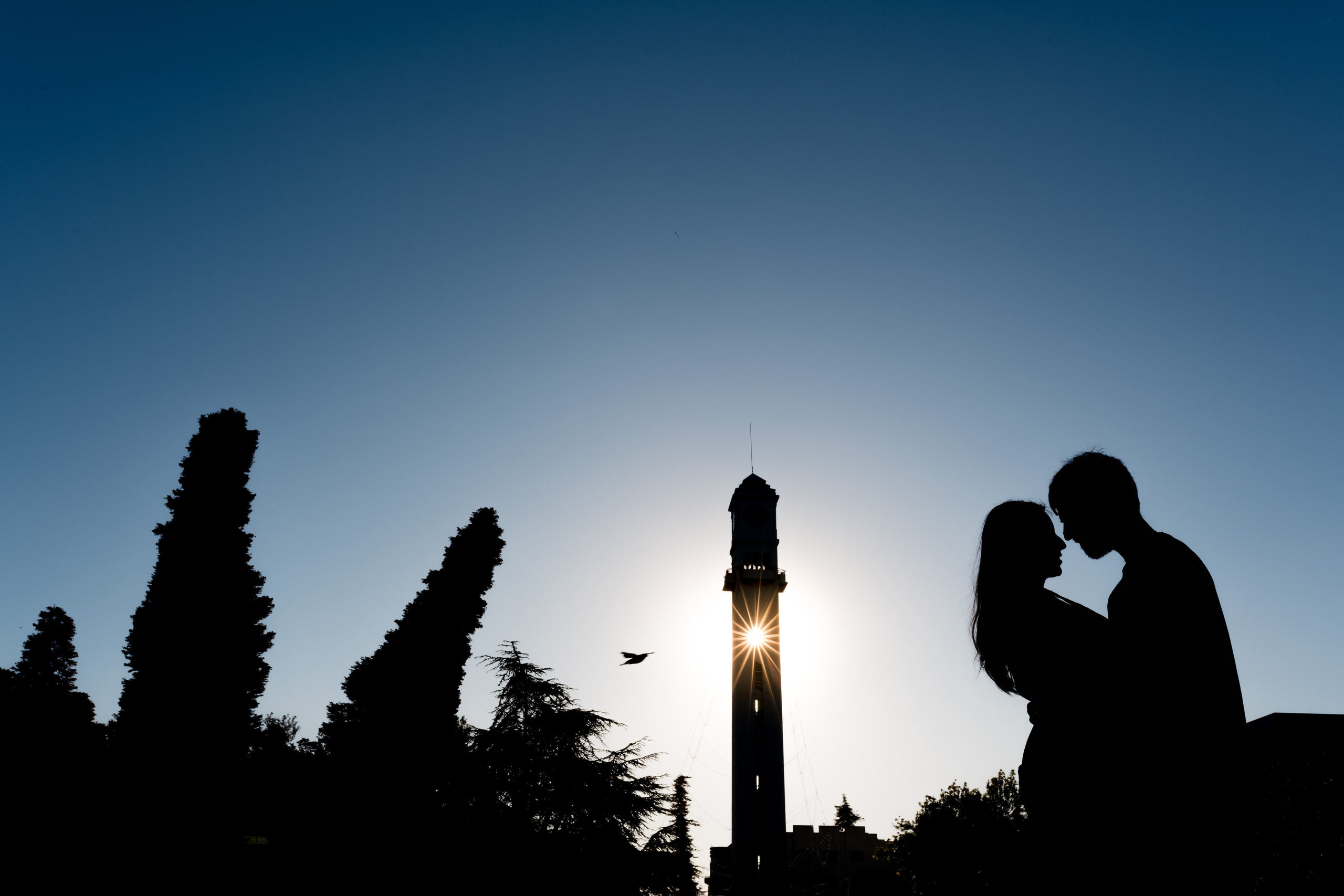 Wedding photographer AyF Fotografías