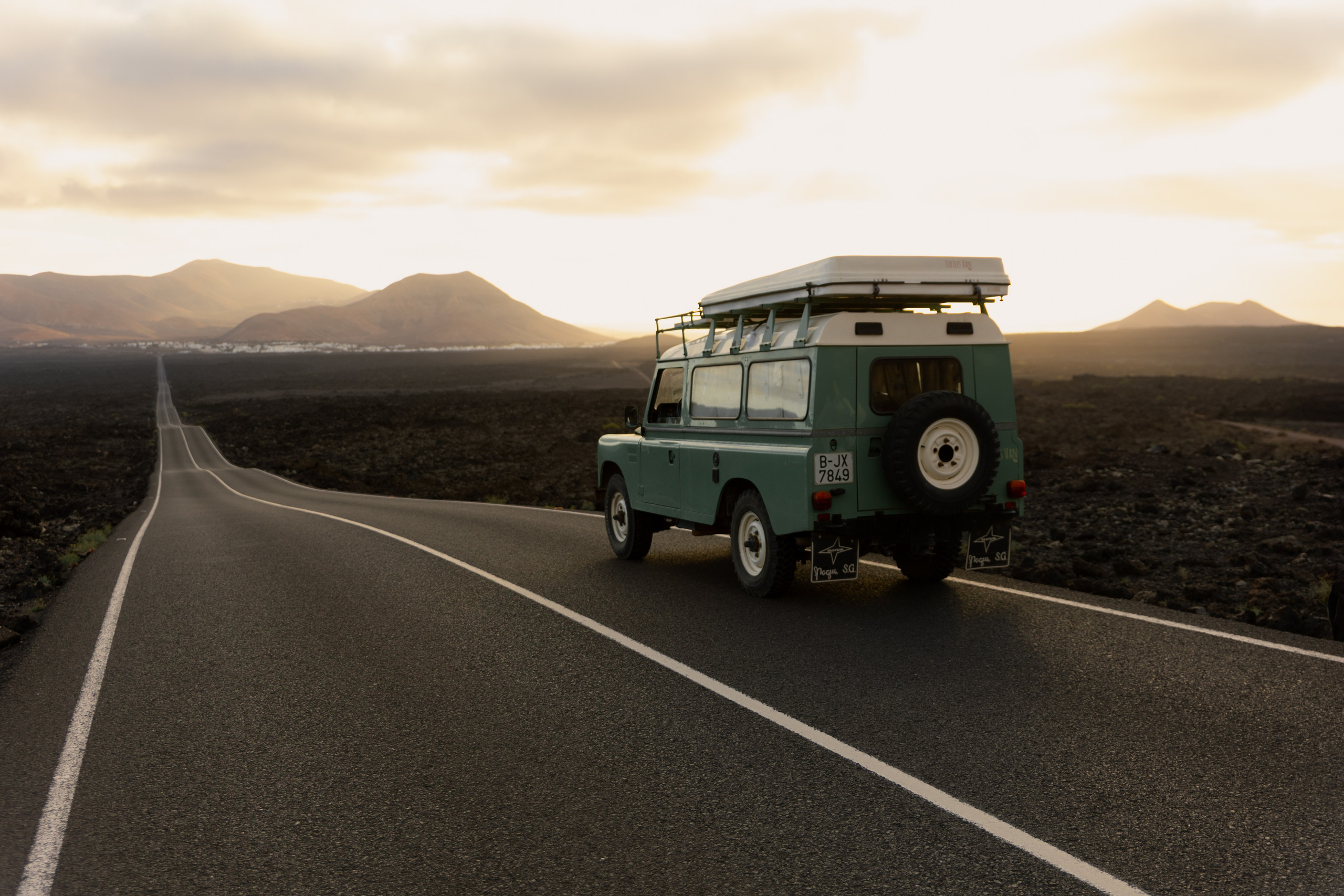 Lanzarote Turtles Van. Patricia Morenci — Mountain Adventures for the Wild at Heart