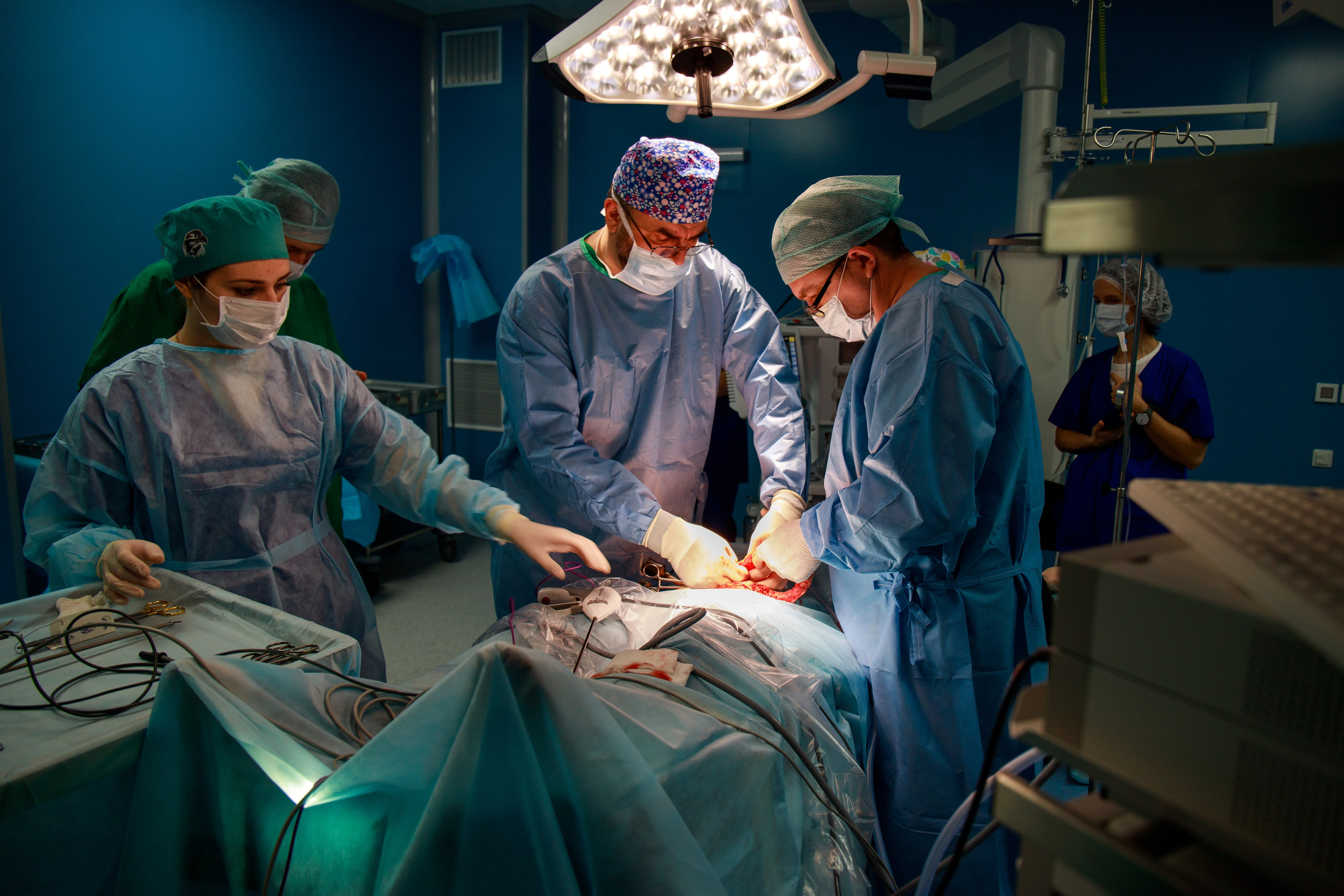 Business. Portrait and family photographer in Fort Collins Dania Gaisina