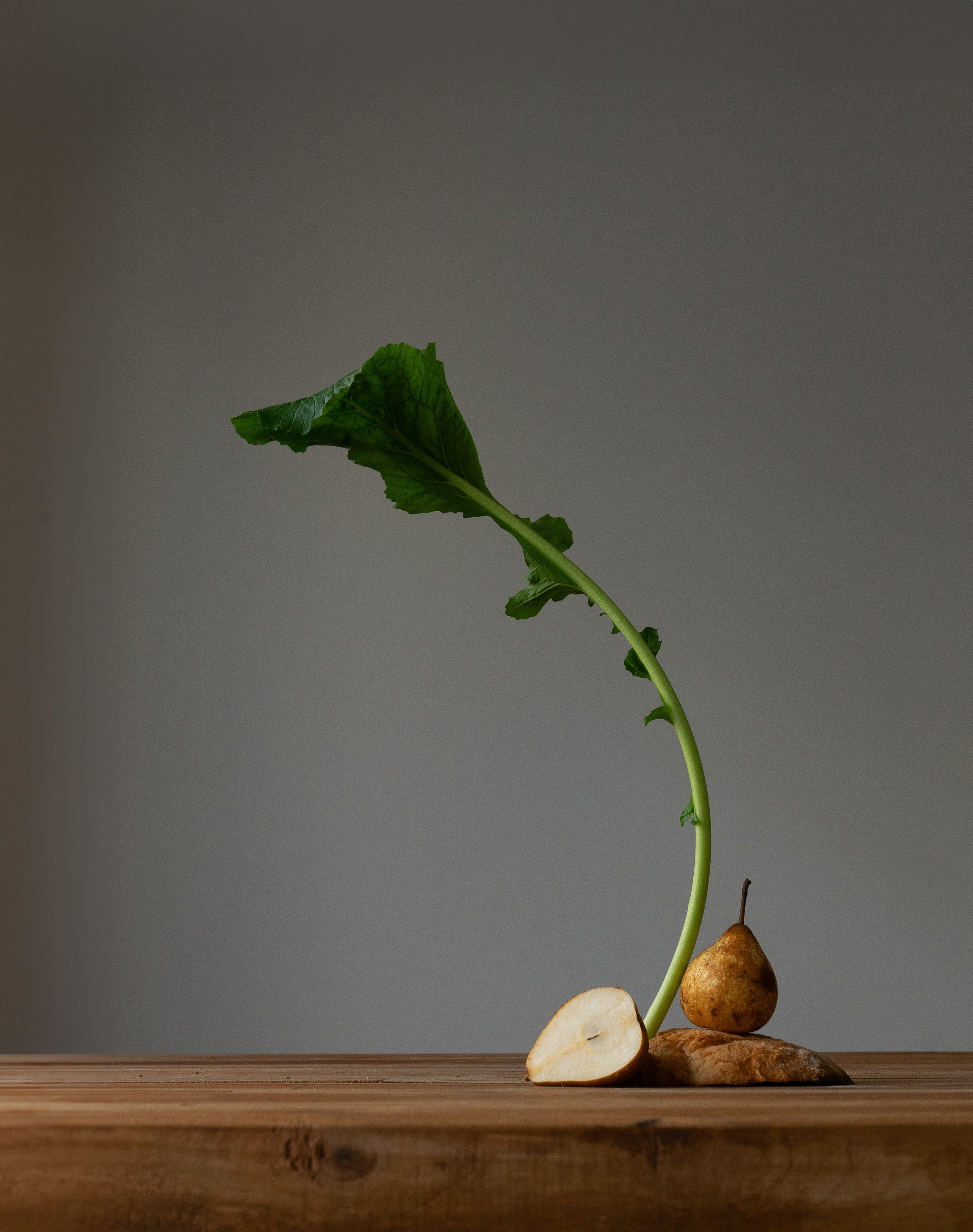 Roots. Maria Sher. Professional photographer from Porto, Portugal