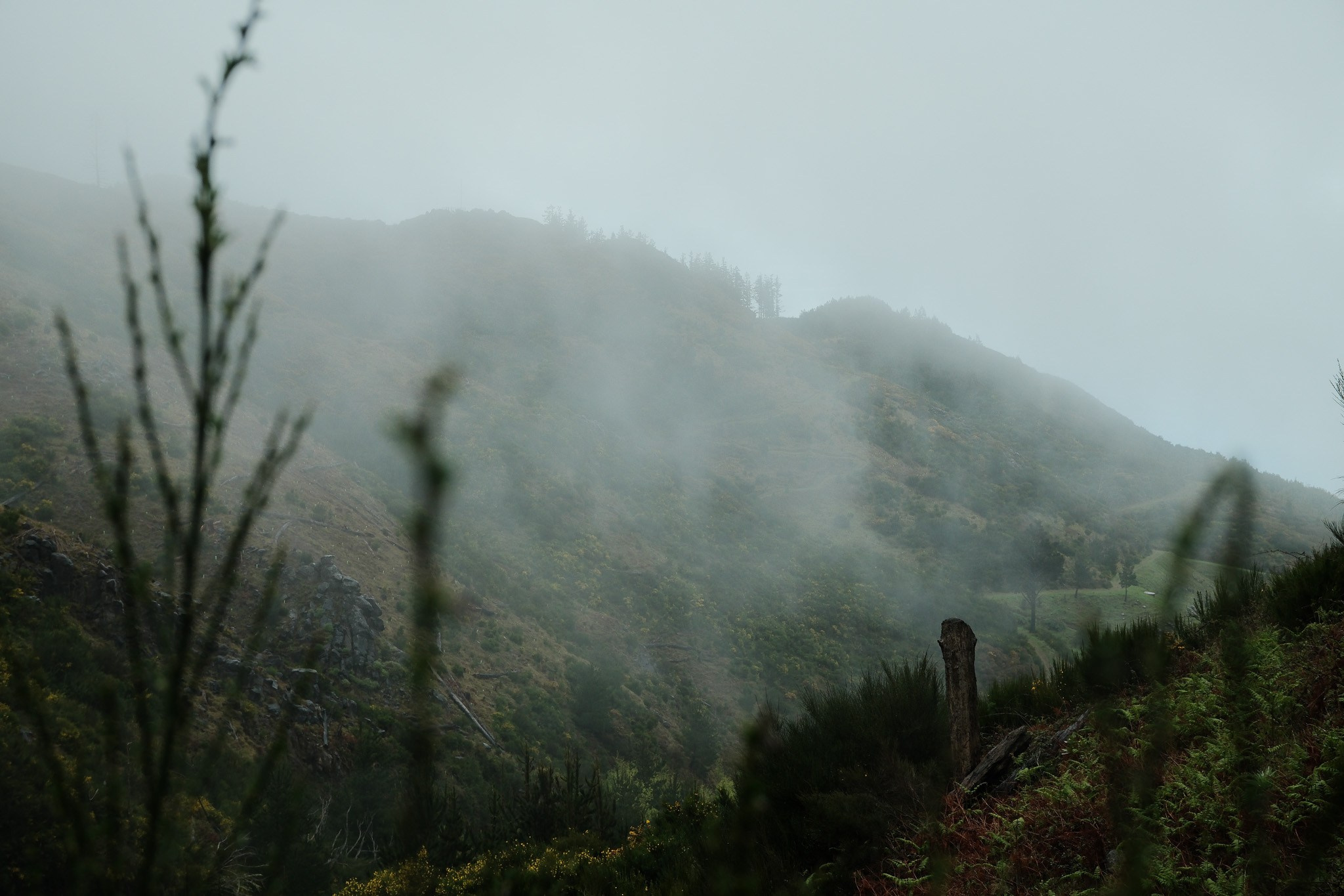 Madeira 2025. Cal Takes Photos