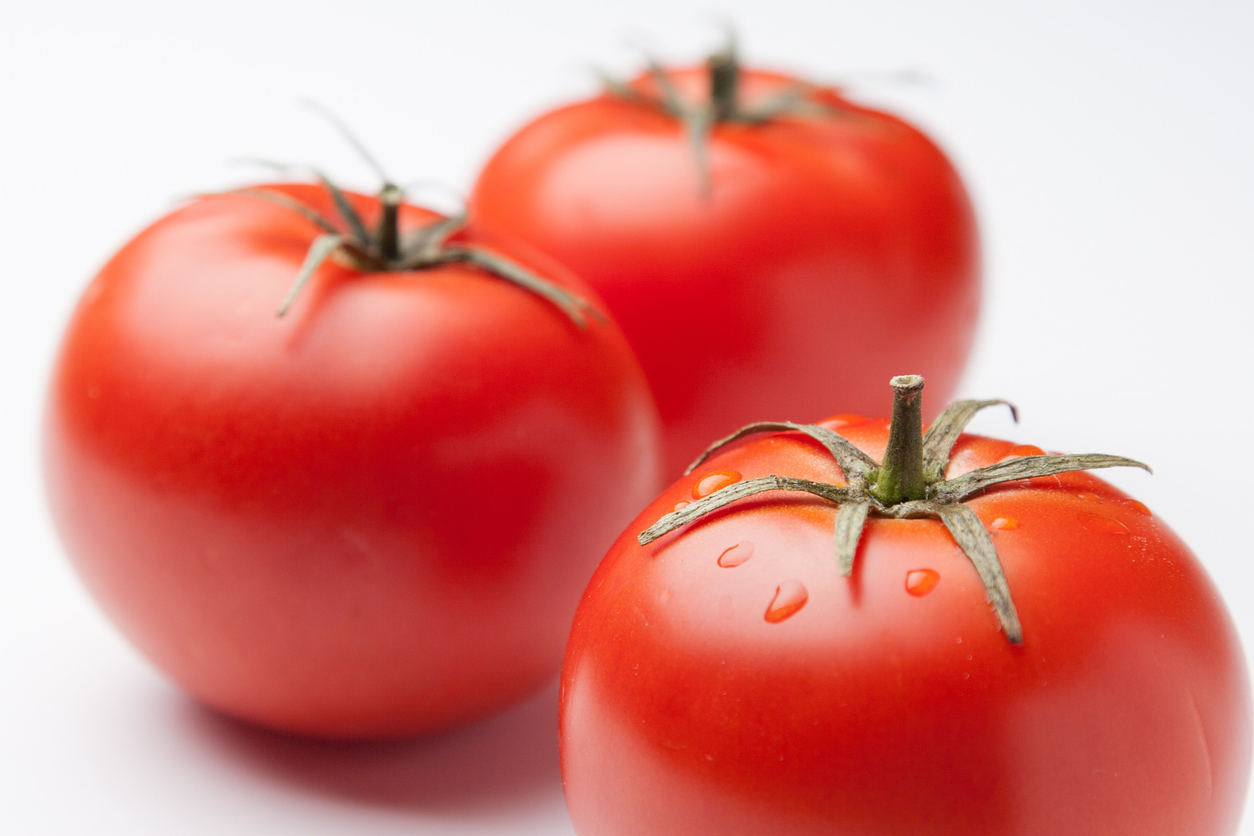 Ripe tomatoes on white - photographer Andrey Dunin