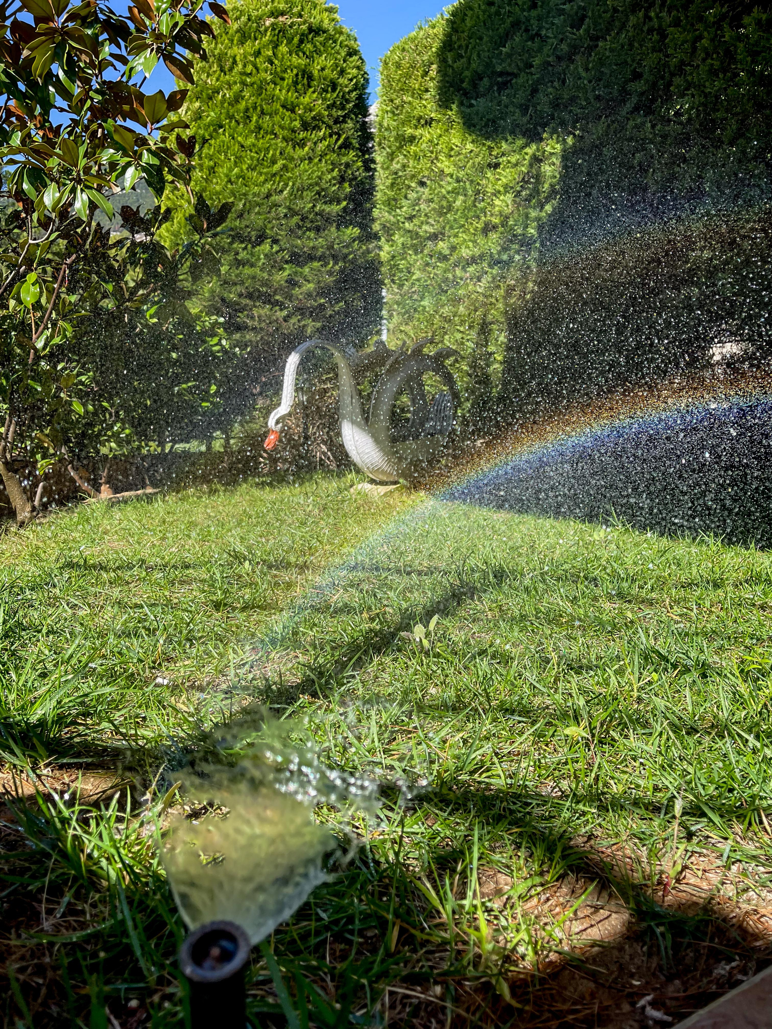 Κήπος Θρακομακεδόνες. Geoponitikon-Όταν η Επιστήμη συναντά την Τέχνη στο Φυσικό Τοπίο!