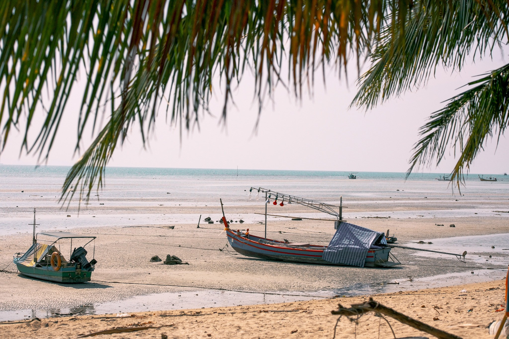 Life of Samui. Graytail Photo