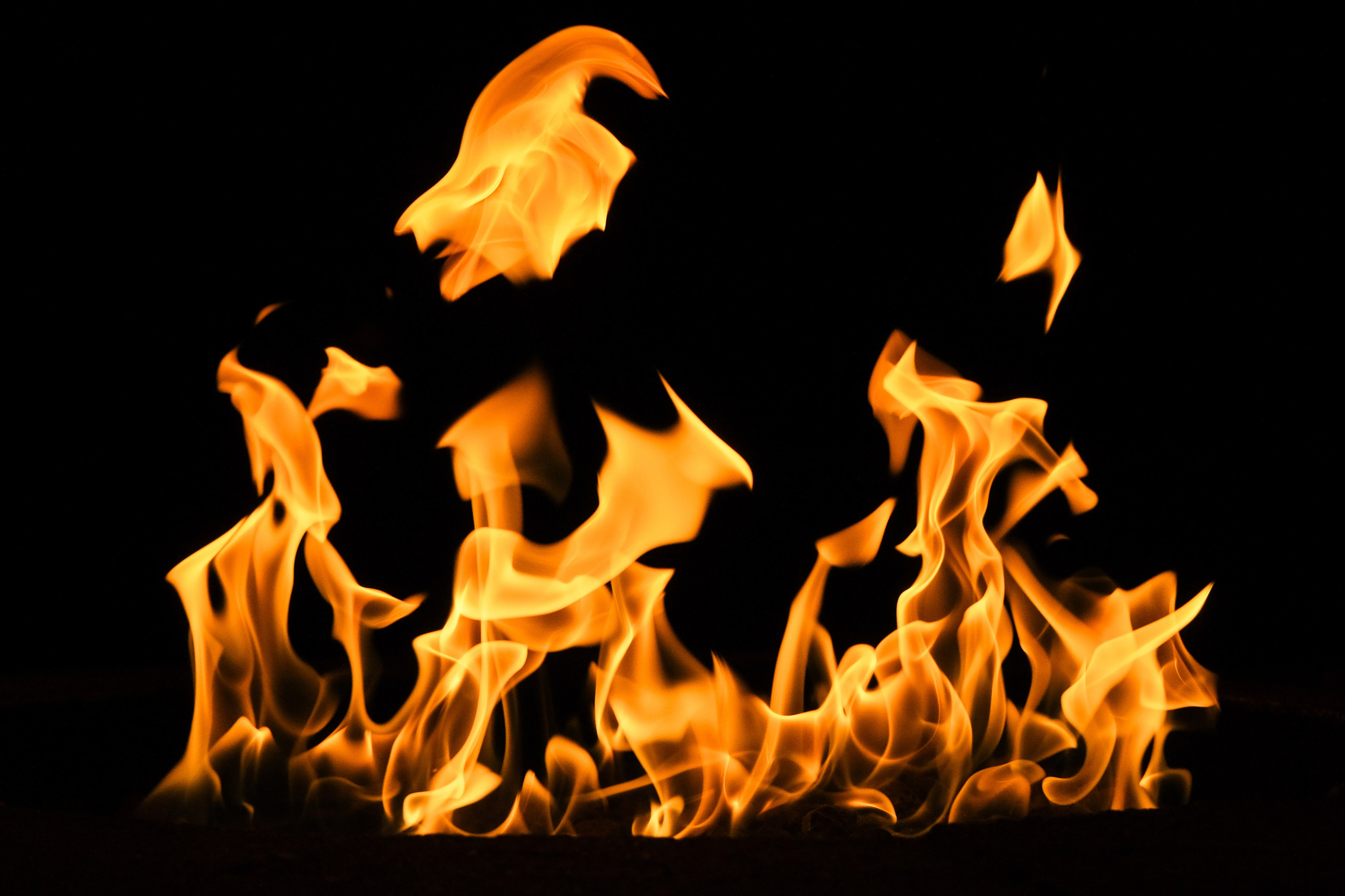 VATRA. Reportage concert portrait photography in the San Francisco Bay Area