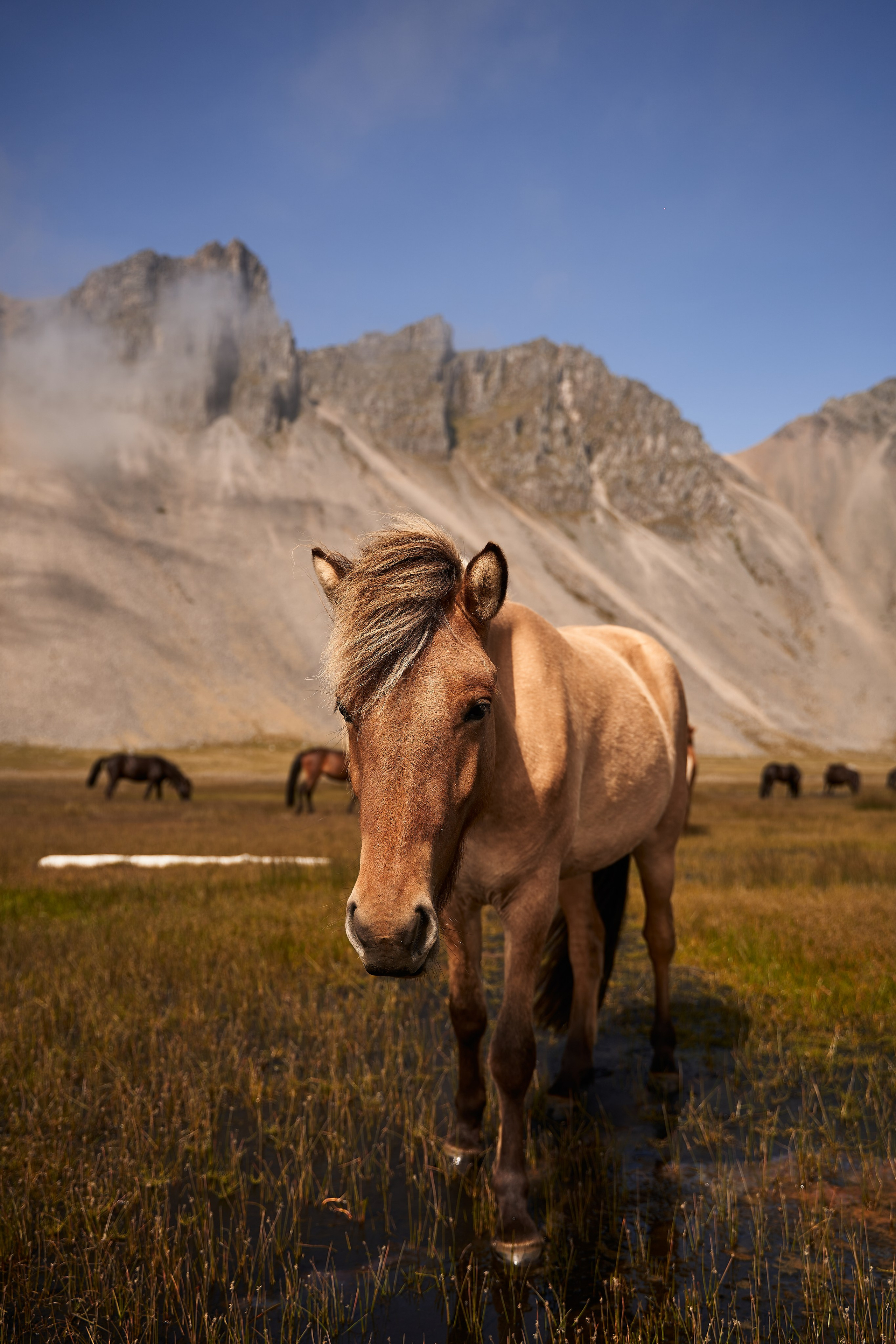 Iceland. Denshyr — Visual Artist