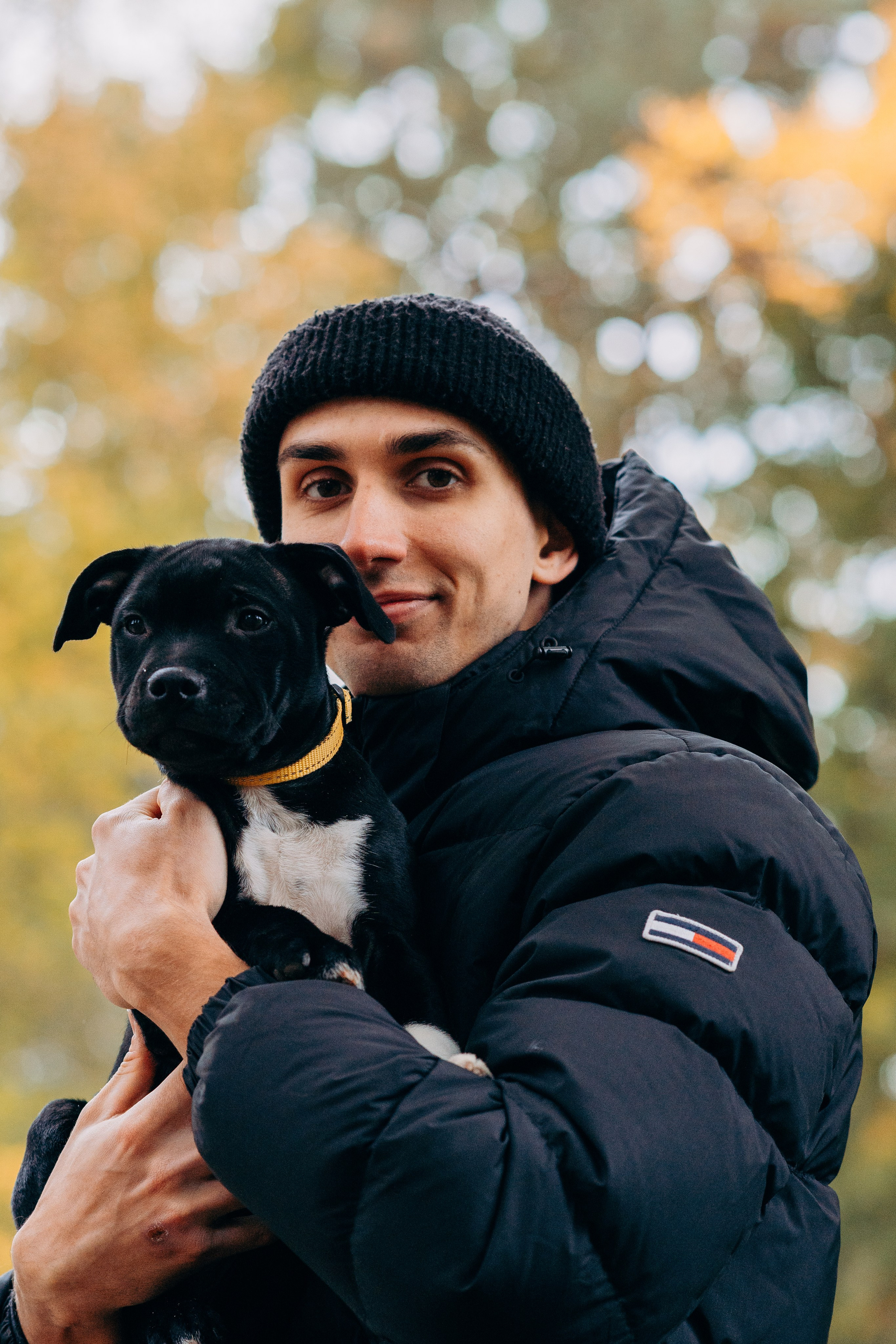 Staffordshire Bull Terriers Meetup. Kat Laisaar — Pet photographer in Tallinn