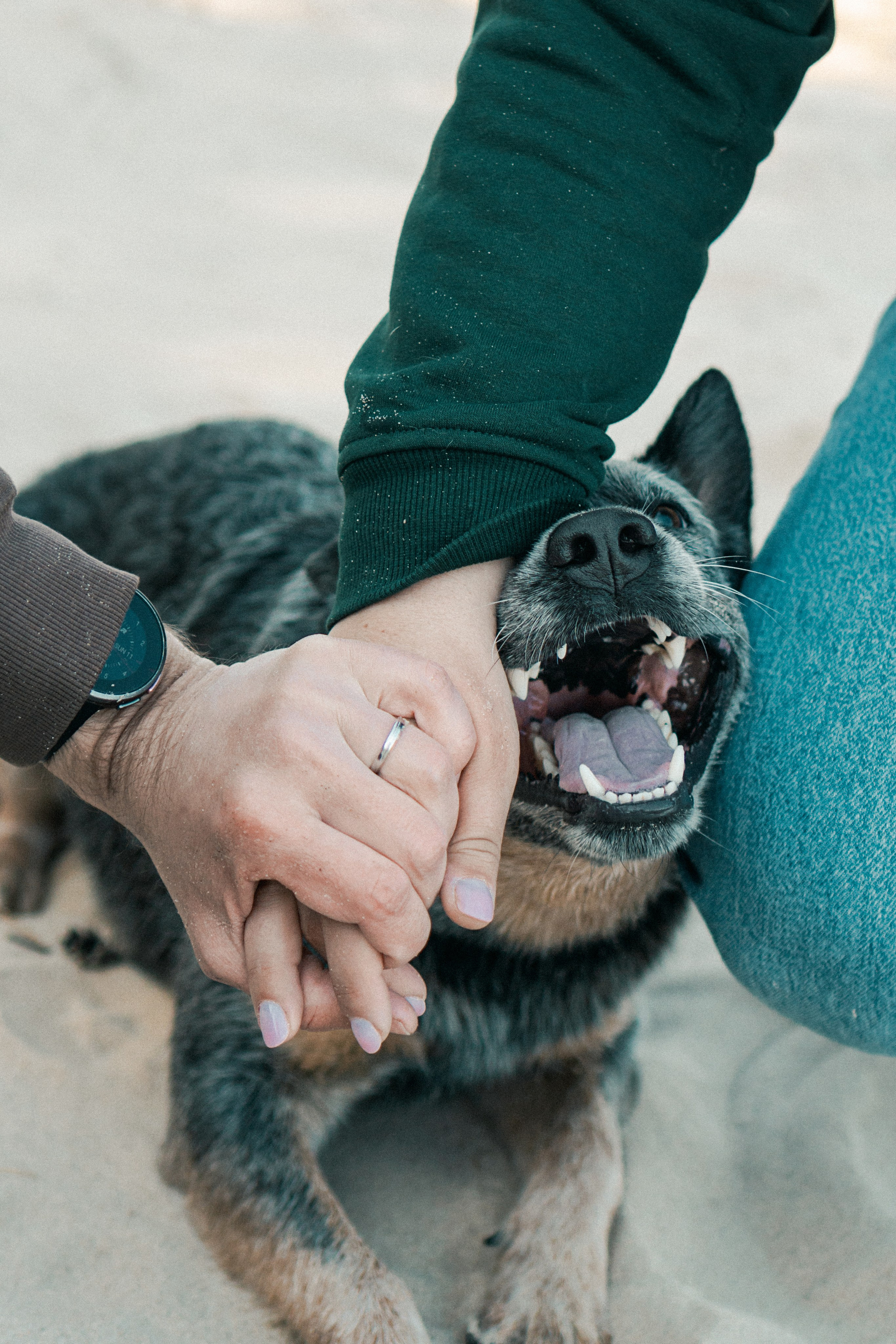 Oskar, Maria & Dmitrii. Kat Laisaar — Pet photographer in Tallinn