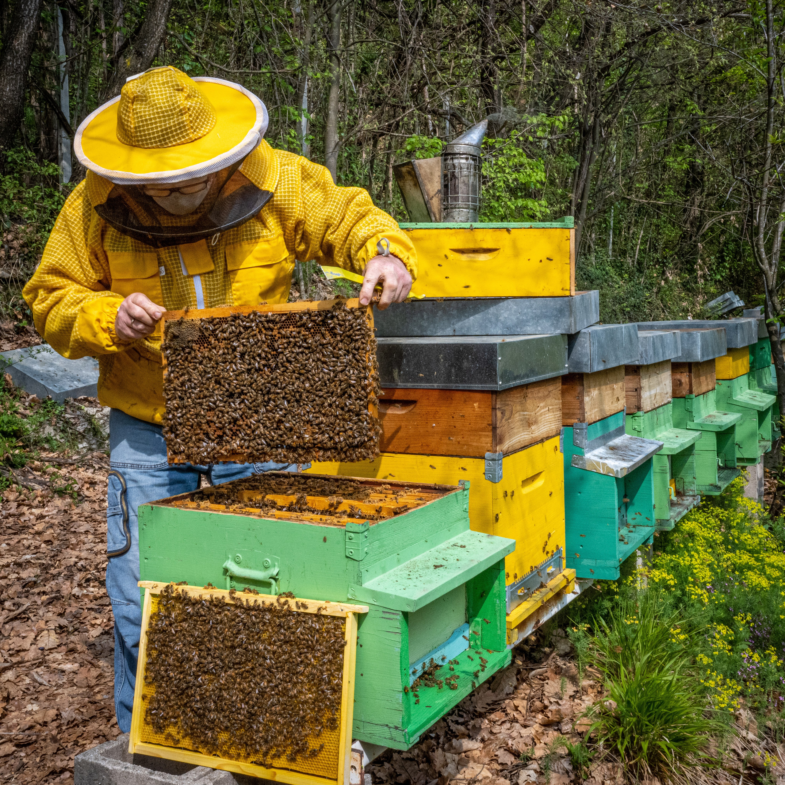 Apicultura Bergadano. “Gianmaria Coscia fotografo per passione”