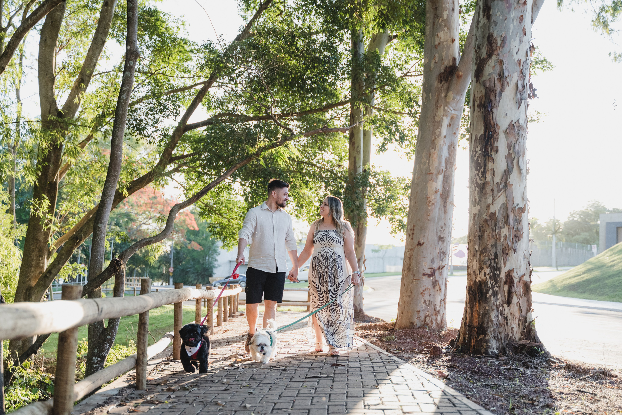 Ensaios. Morcelli Fotografia