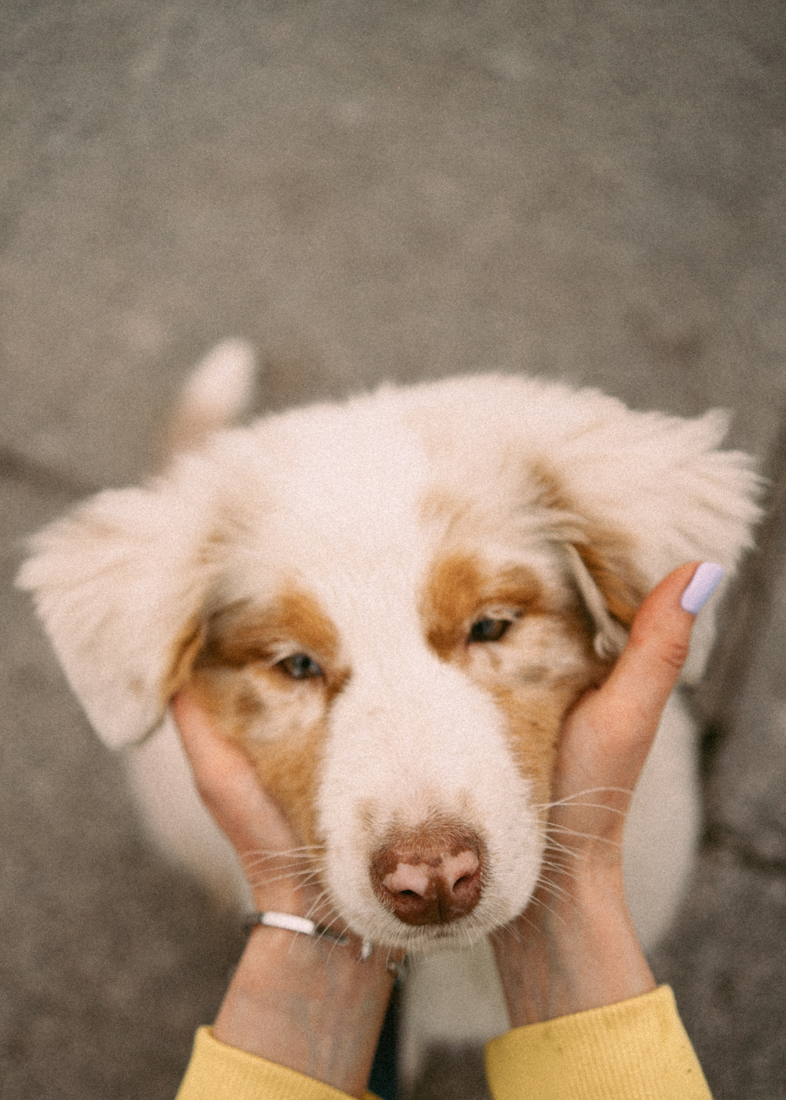 Anna&Cosmo. Pagina principale