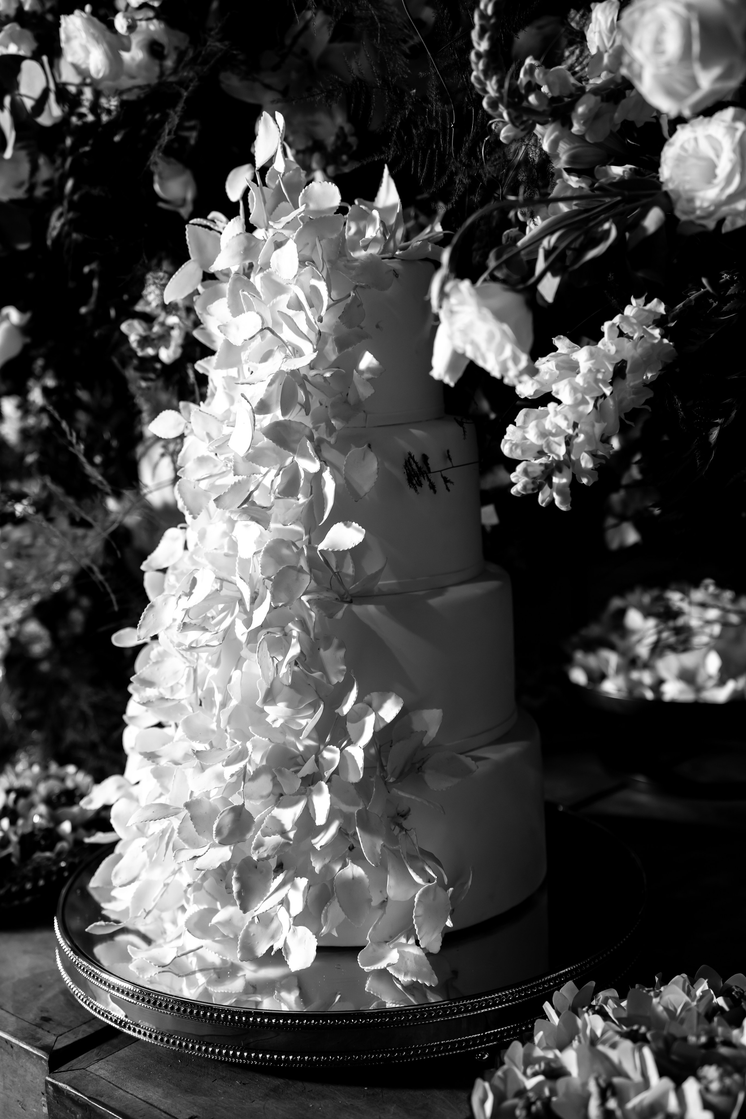 Casamento Mari e Iuri — Estancia Boa Vista. Fotógrafo de casamento e Filmmaker de casamento