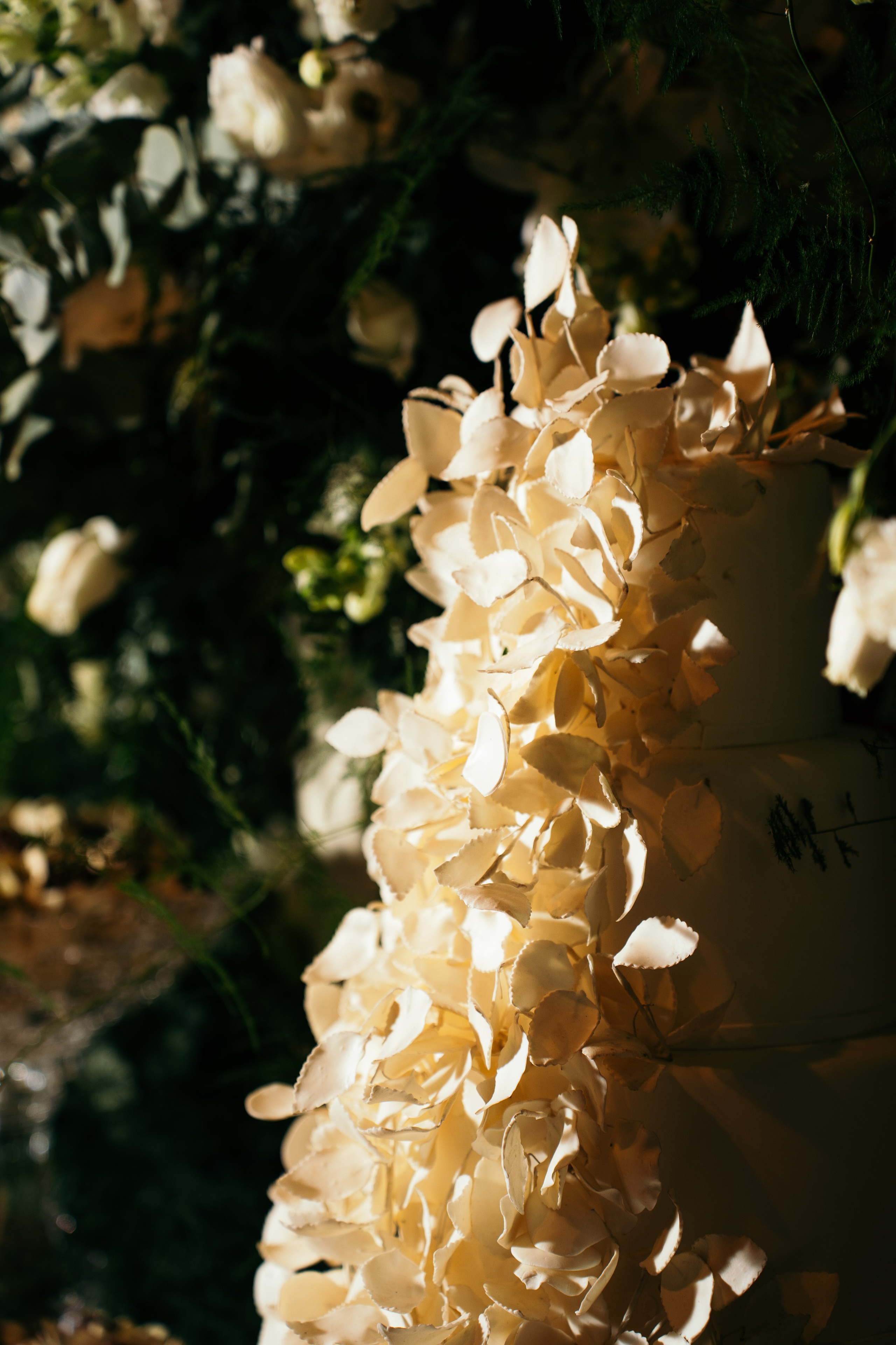Casamento Mari e Iuri — Estancia Boa Vista. Fotógrafo de casamento e Filmmaker de casamento