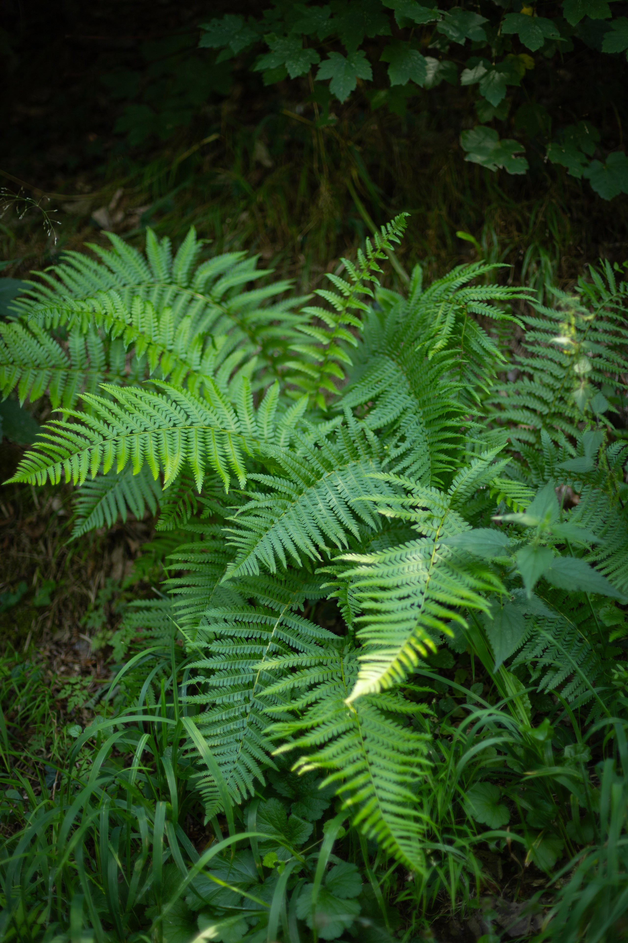 Mit Oma. PHOTOgrapher Germany MARBURG
