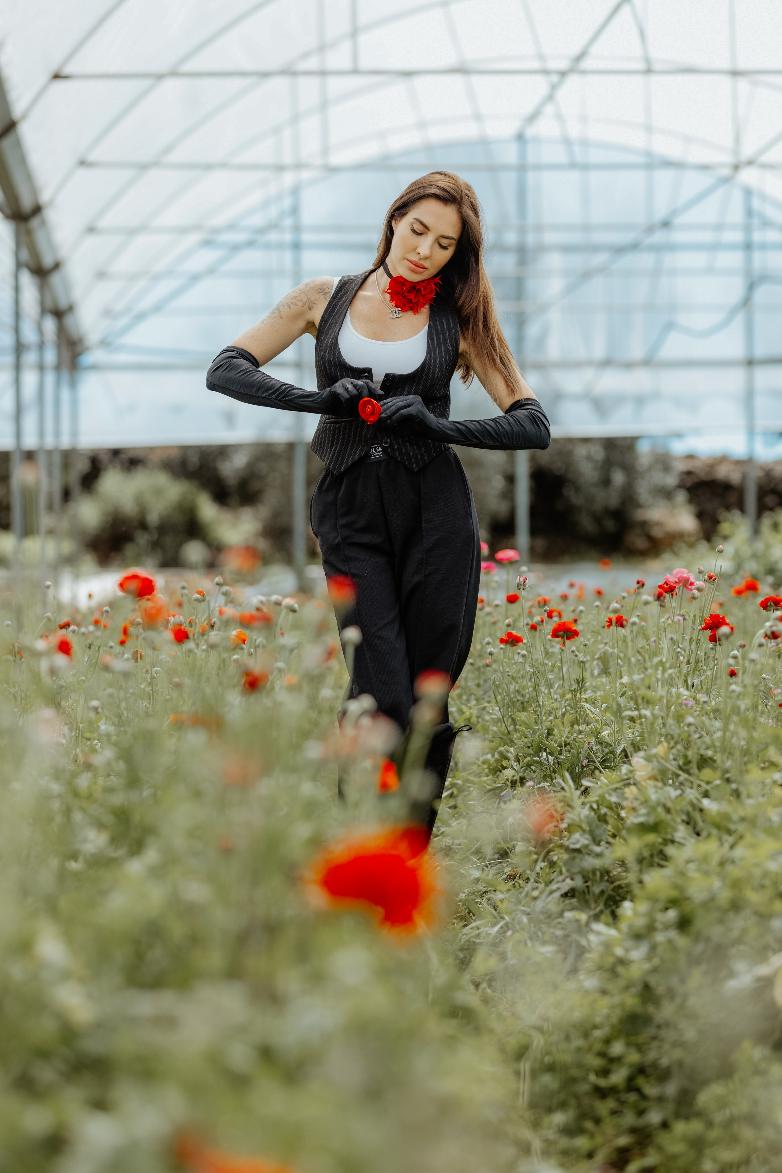 Цветы в Анталии. Цветочные плантации в Анталии. Фотосессия на цветочной плантации. Цветочные поля. Календарь цветения в Турции. Парники теплицы Турция Анталия. Цветы Анталия. Фотограф в Турции. Фотограф Анталия. Фотограф Анталья. Анталия. Анталья. Цветы ранункулист. Лютики.