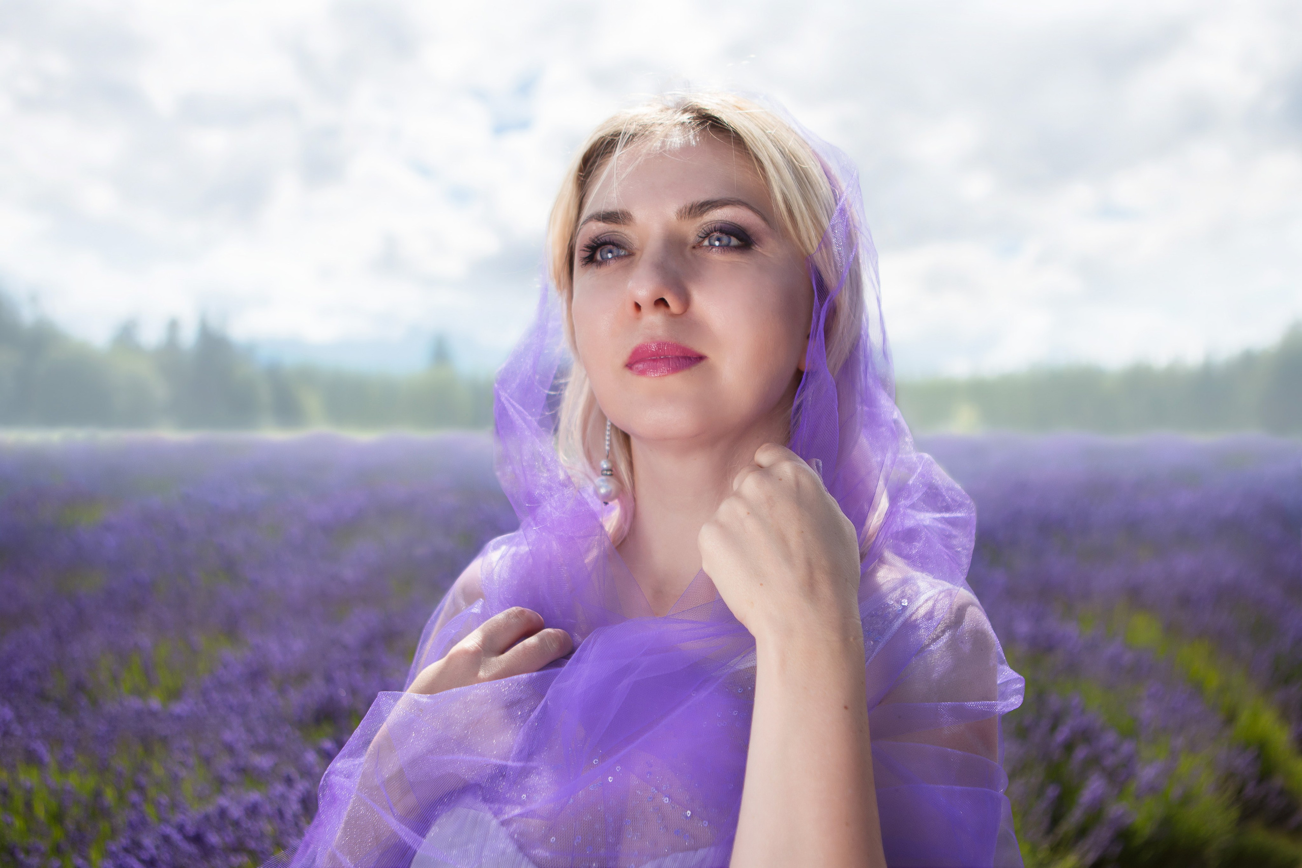 Lavender fields photoshoot. YuAnna studio. Family & Kids Photographer in Seattle area, located in