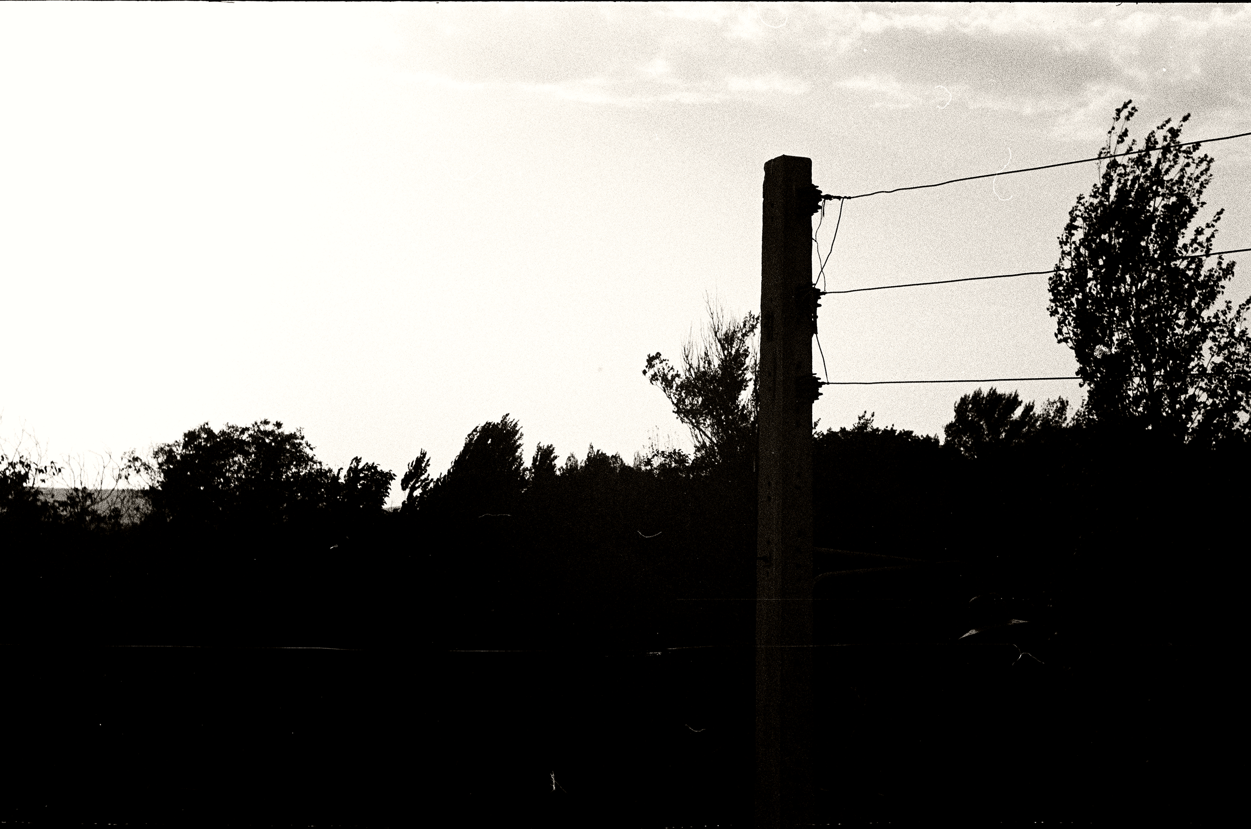 Personal Photography. Arman Milani, Brand-Focused Video Production & Content Creation, Based in Berlin