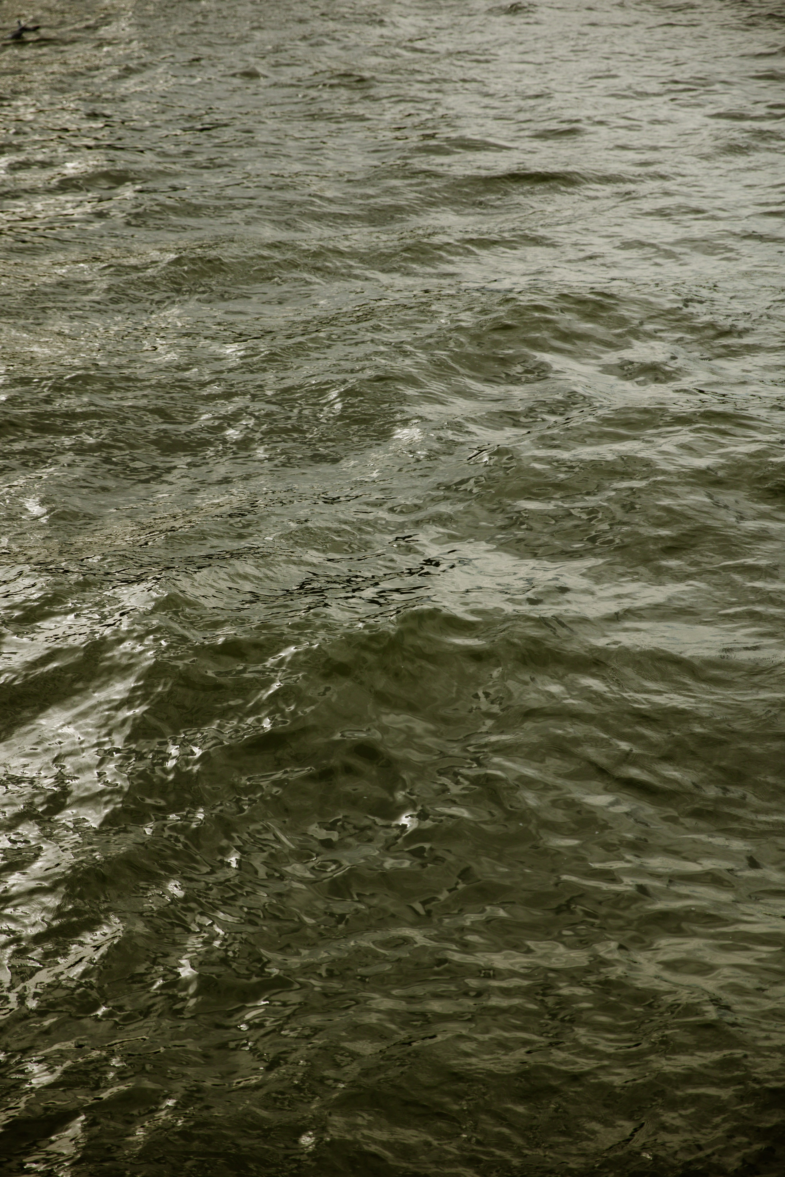 Camille & Kenny | Wedding Photography in Paris. Paris Wedding Photographer