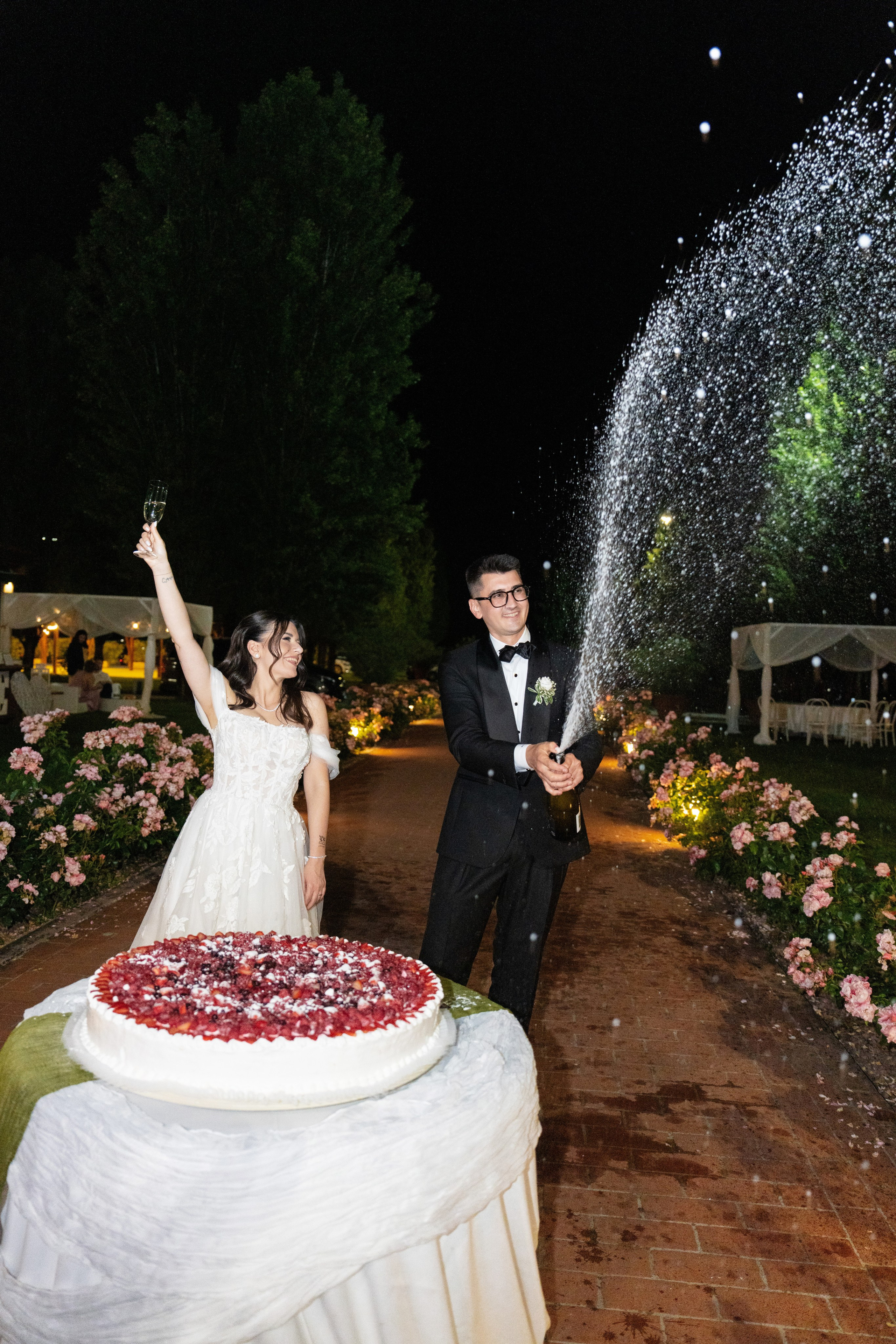 Wedding Highlights. Studio Timis