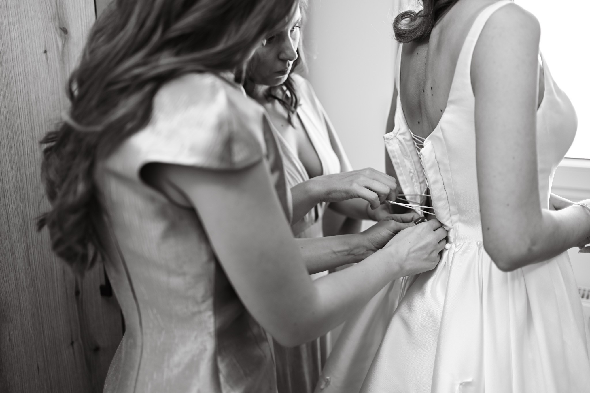 Weddings. Professional Photographer- Nikola Zlatanovic