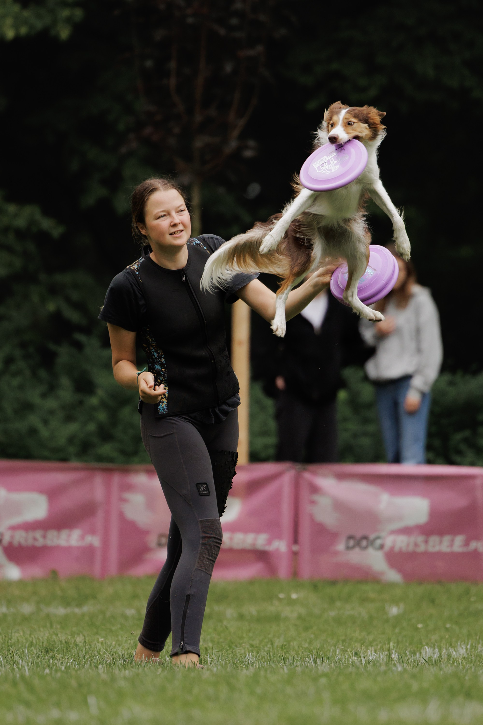 Latające psy, Wrocław'25. Kaja | fotograf psów we Wrocławiu
