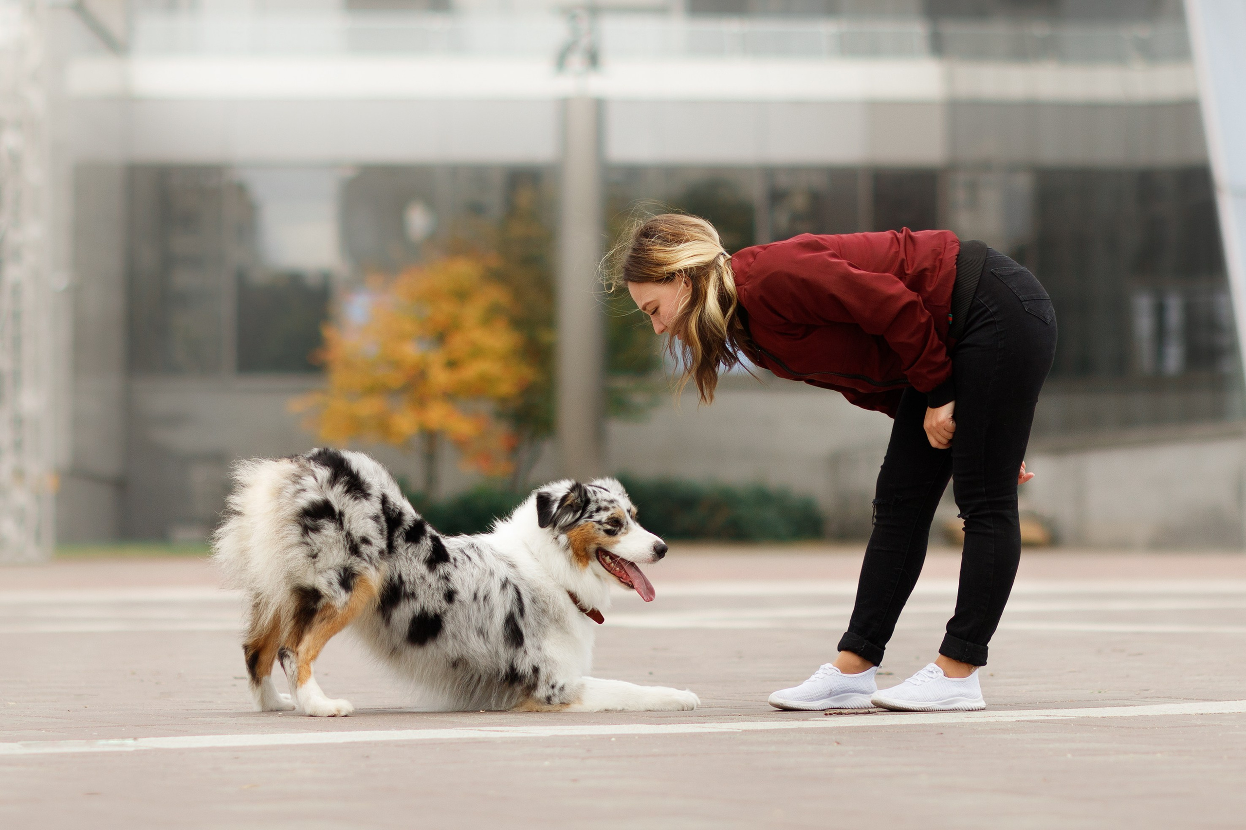 Autumn photo day for dog handler. Kaja | fotograf we Wrocławiu | ludzie i psy