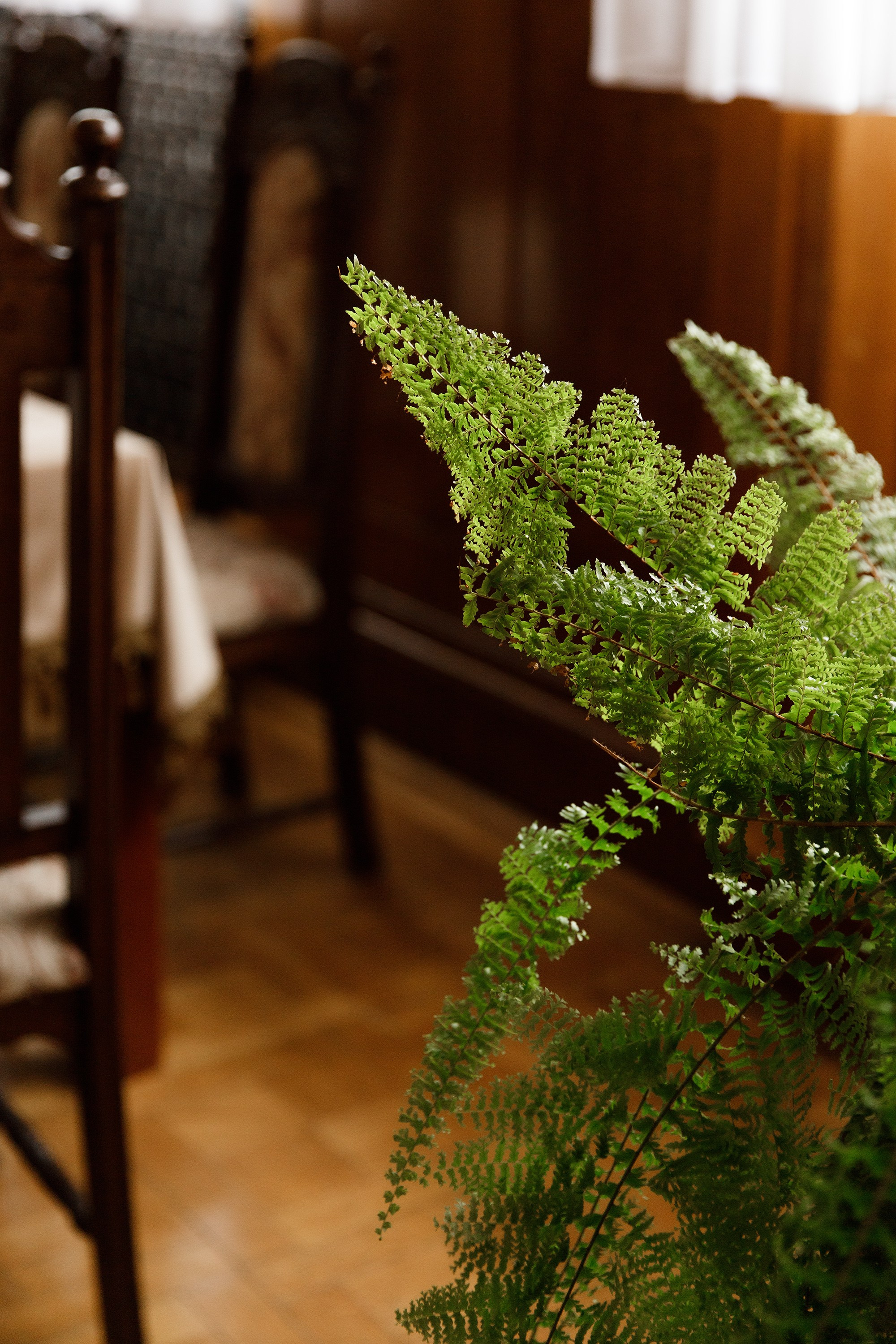 Oleśnica castle. Kaja | fotograf psów we Wrocławiu