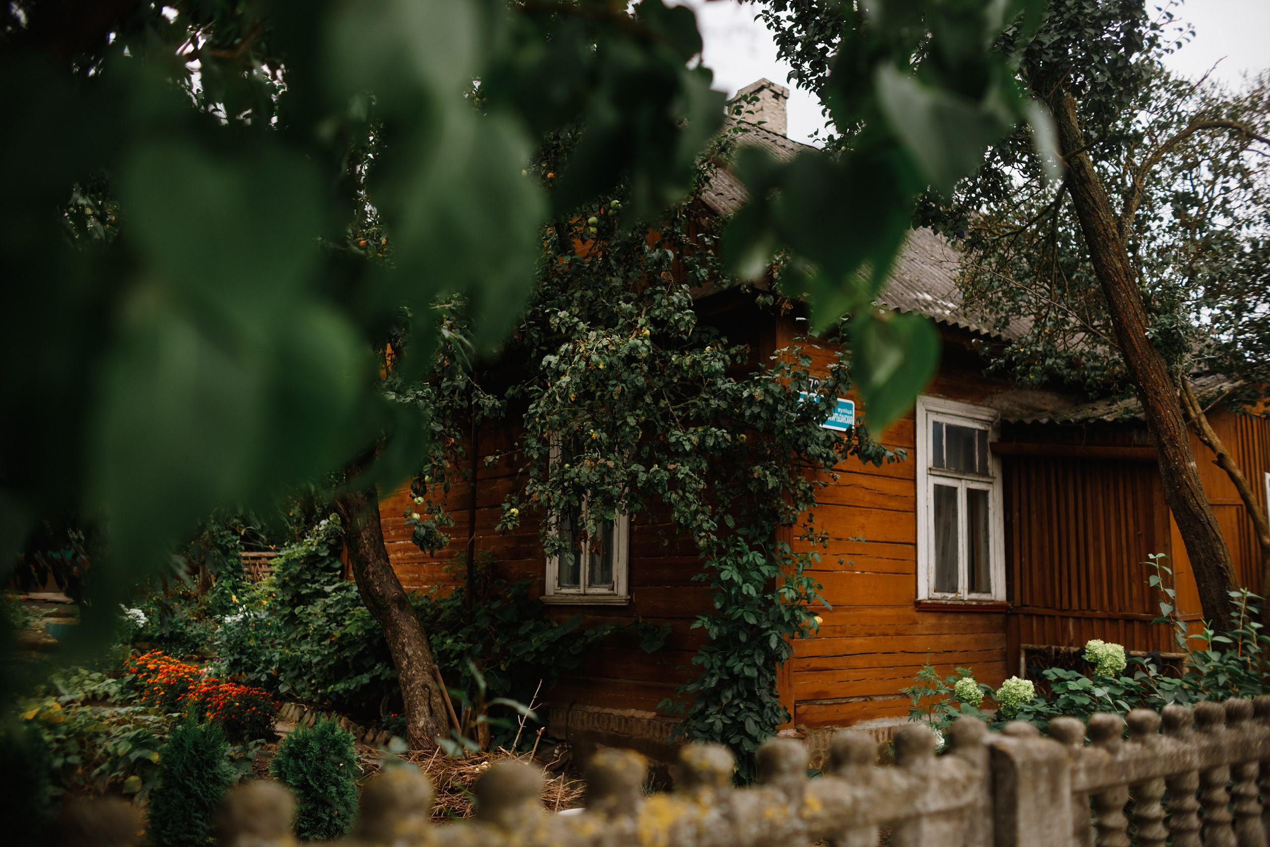 Grodno. Kaja | fotograf we Wrocławiu | ludzie i psy