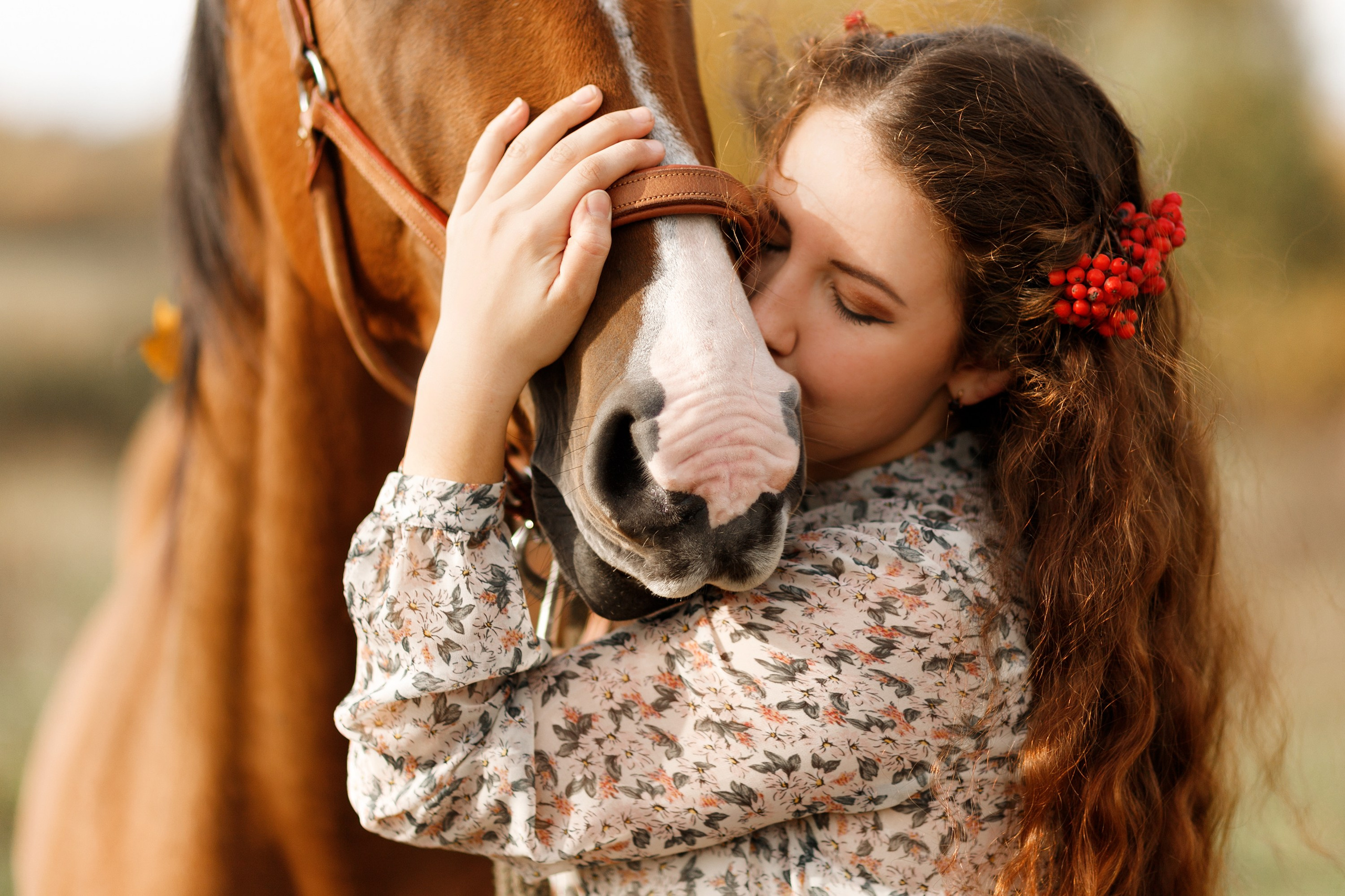 Aibike | autumn. Kaja | fotograf psów we Wrocławiu
