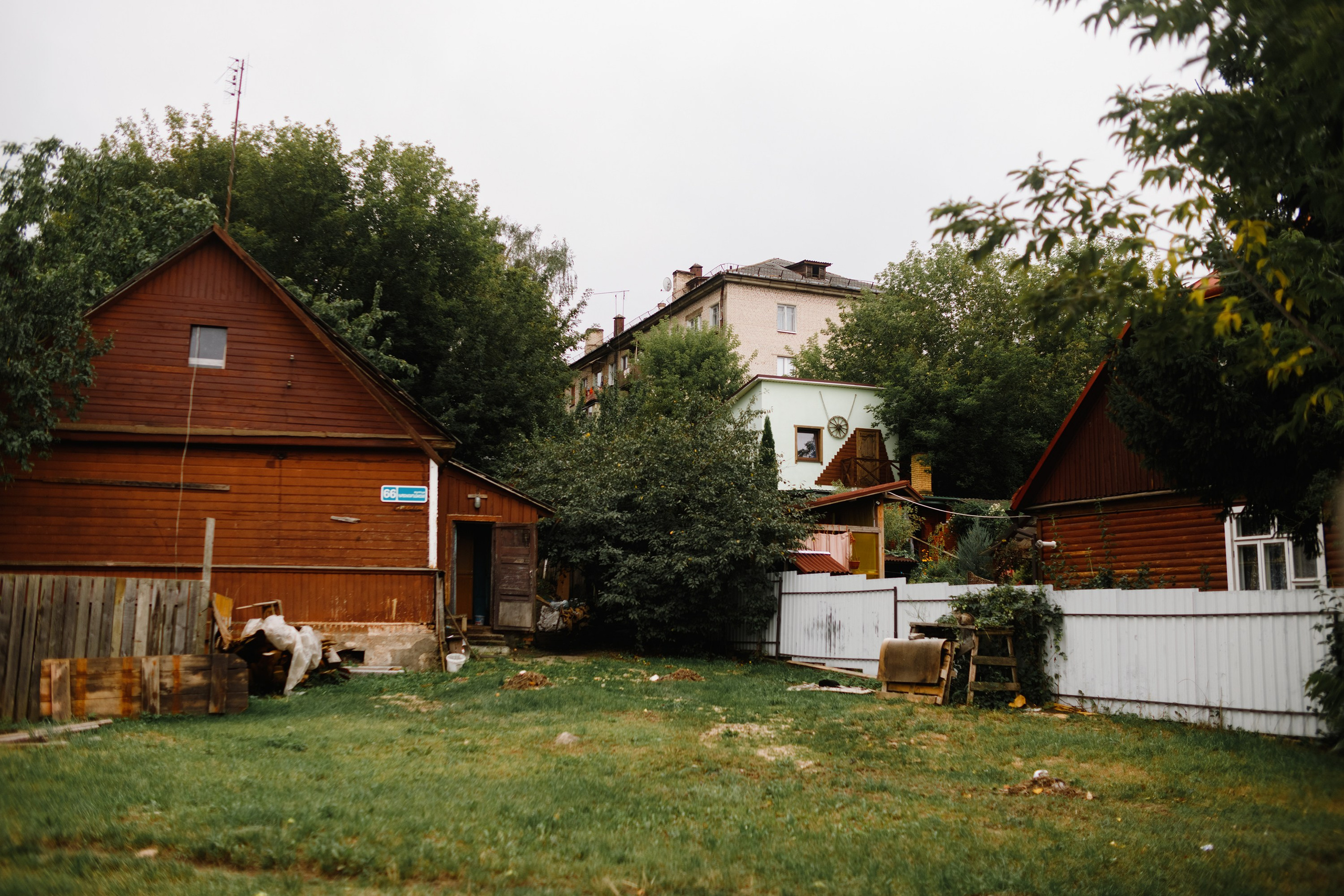 Grodno. Kaja | fotograf we Wrocławiu | ludzie i psy