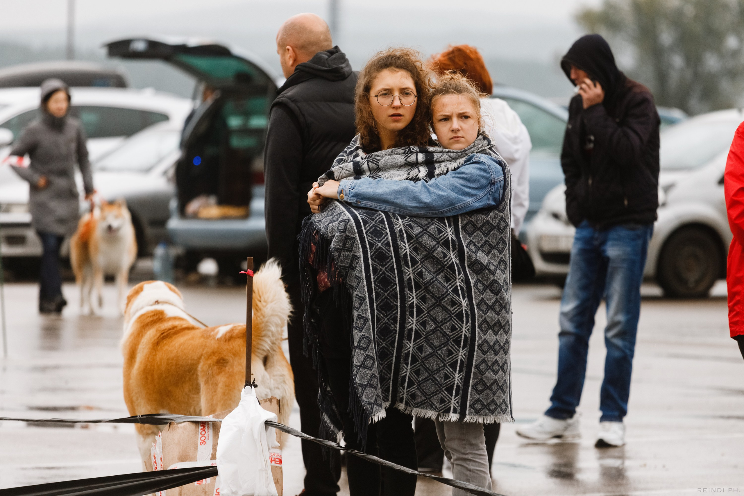 Rainy dog show in Grodno. Kaja | fotograf we Wrocławiu | ludzie i psy