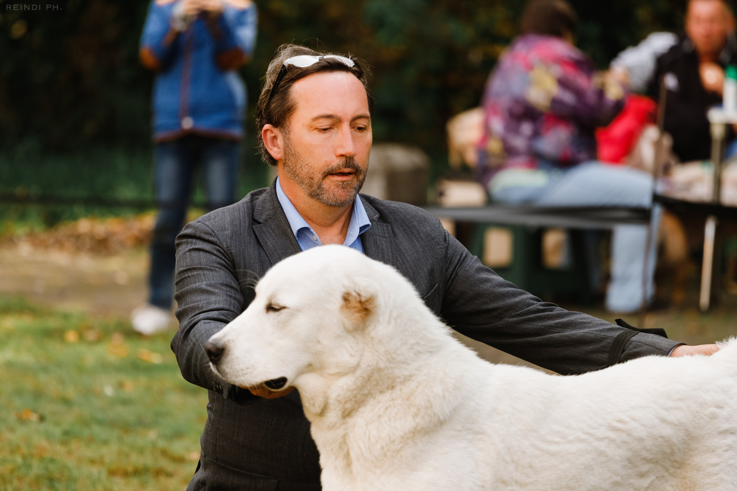 «Argus» dog show in Brest. Kaja | fotograf we Wrocławiu | ludzie i psy