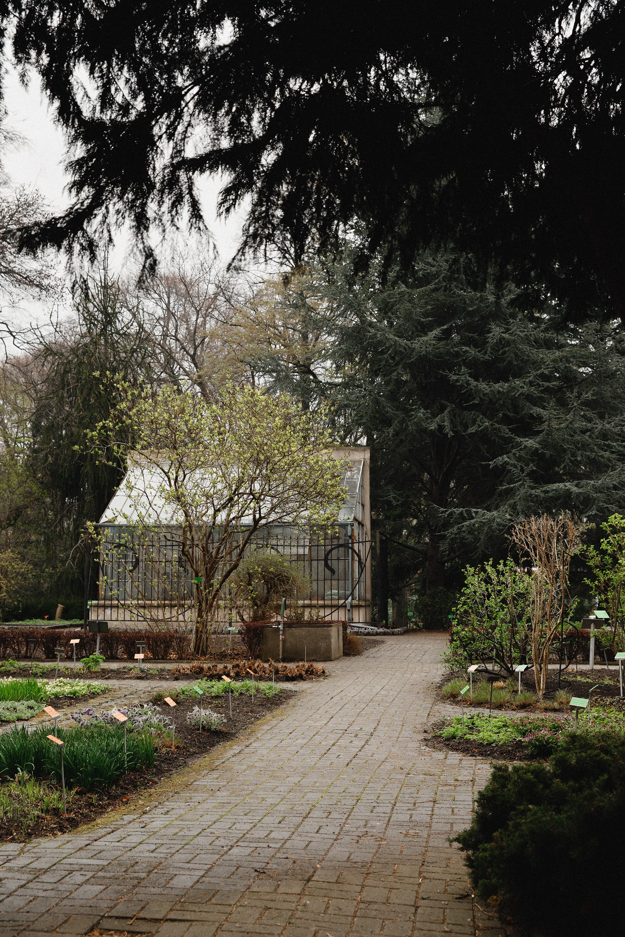 Botanical garden in Wroclaw. Kaja | fotograf we Wrocławiu | ludzie i psy