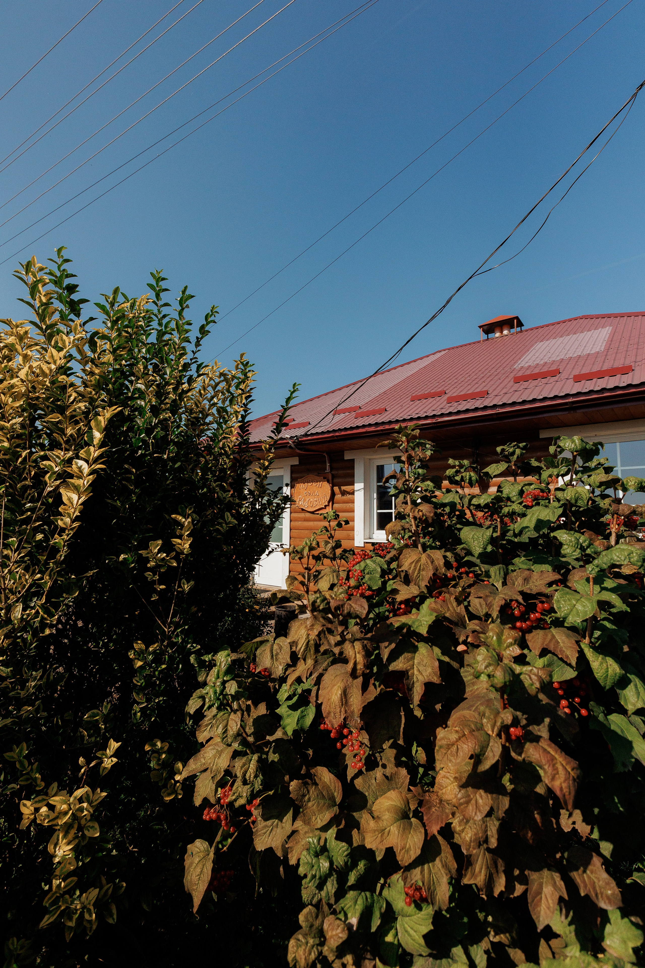 Екопарк Аміла. Ірина Терещук