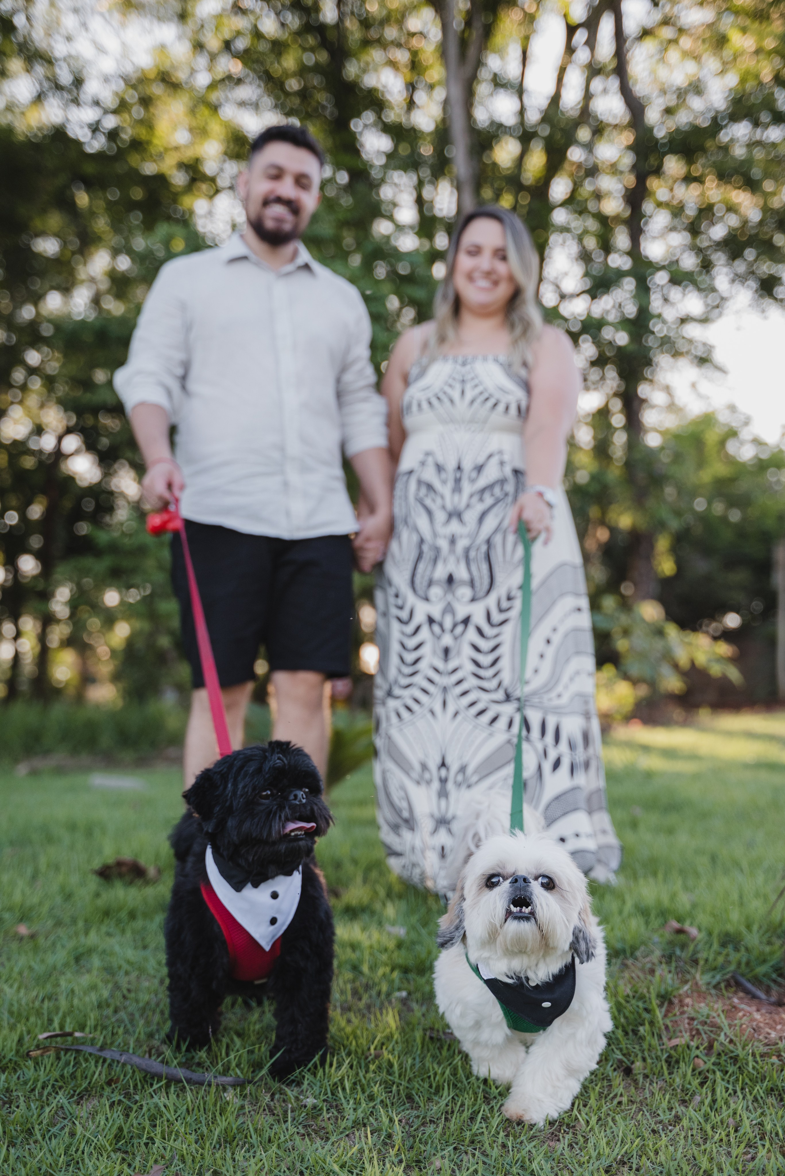 Ensaios. Morcelli Fotografia