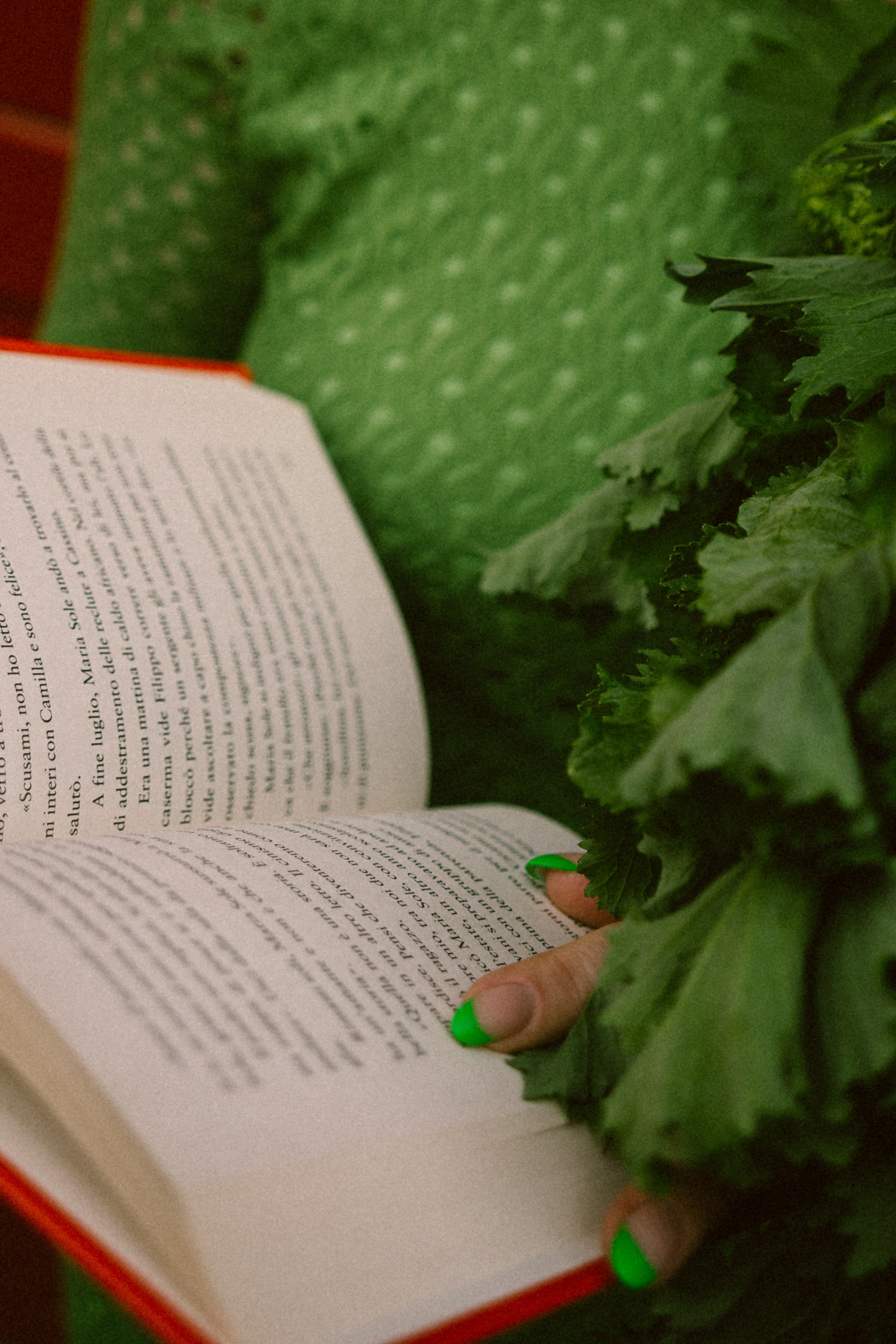 Anastasia. Дарина Иванова, лайфстайл фотограф в Неаполе. Портреты, свадьбы