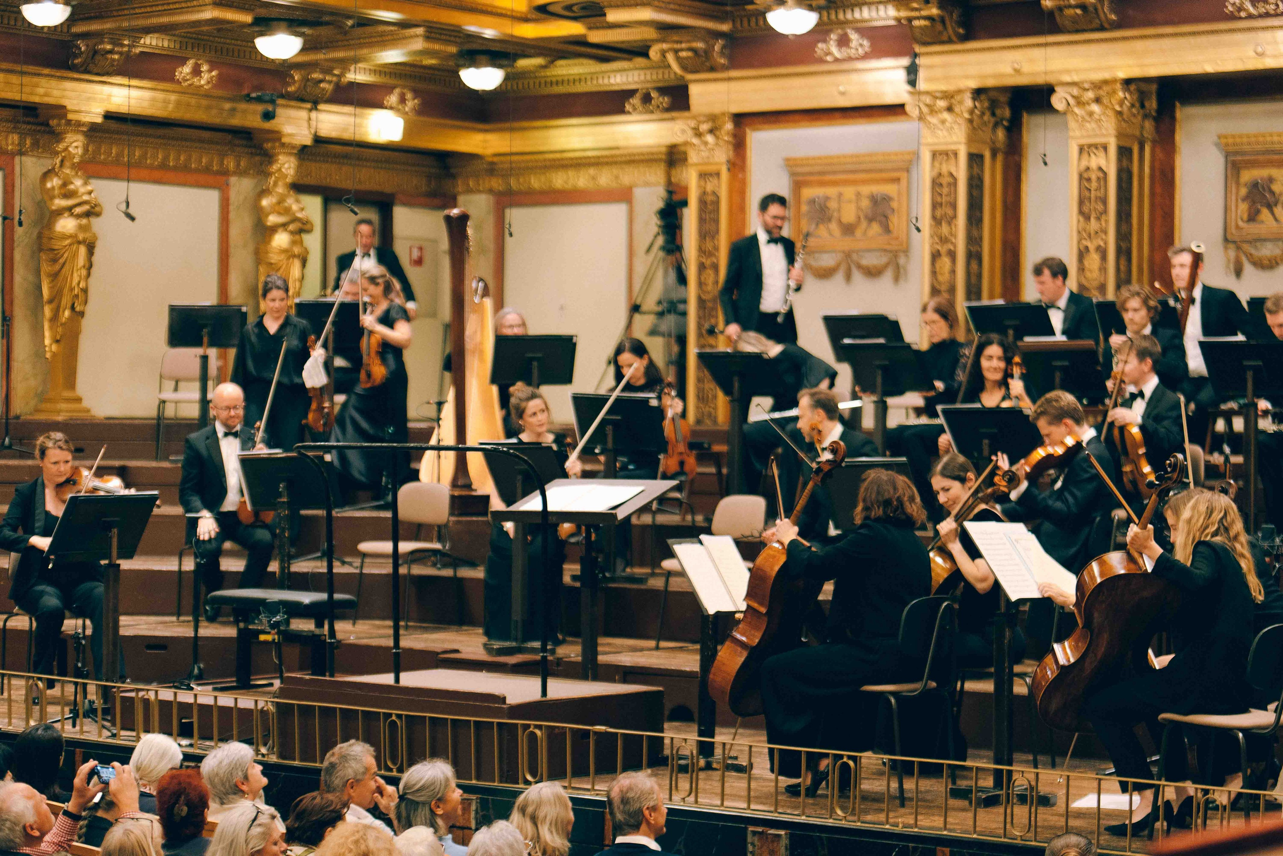 MUSIKVEREIN (VIENNA). Wedding&Event photographer Ismail Rzayev in Baku