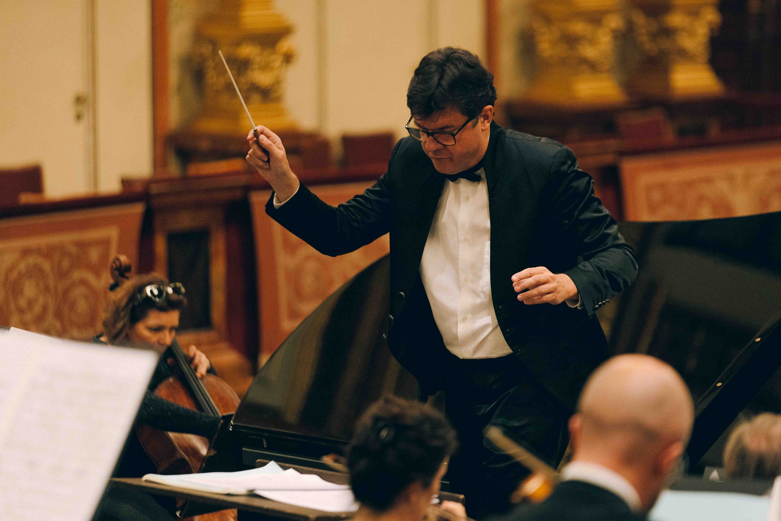 MUSIKVEREIN (VIENNA). Wedding&Event photographer Ismail Rzayev in Baku