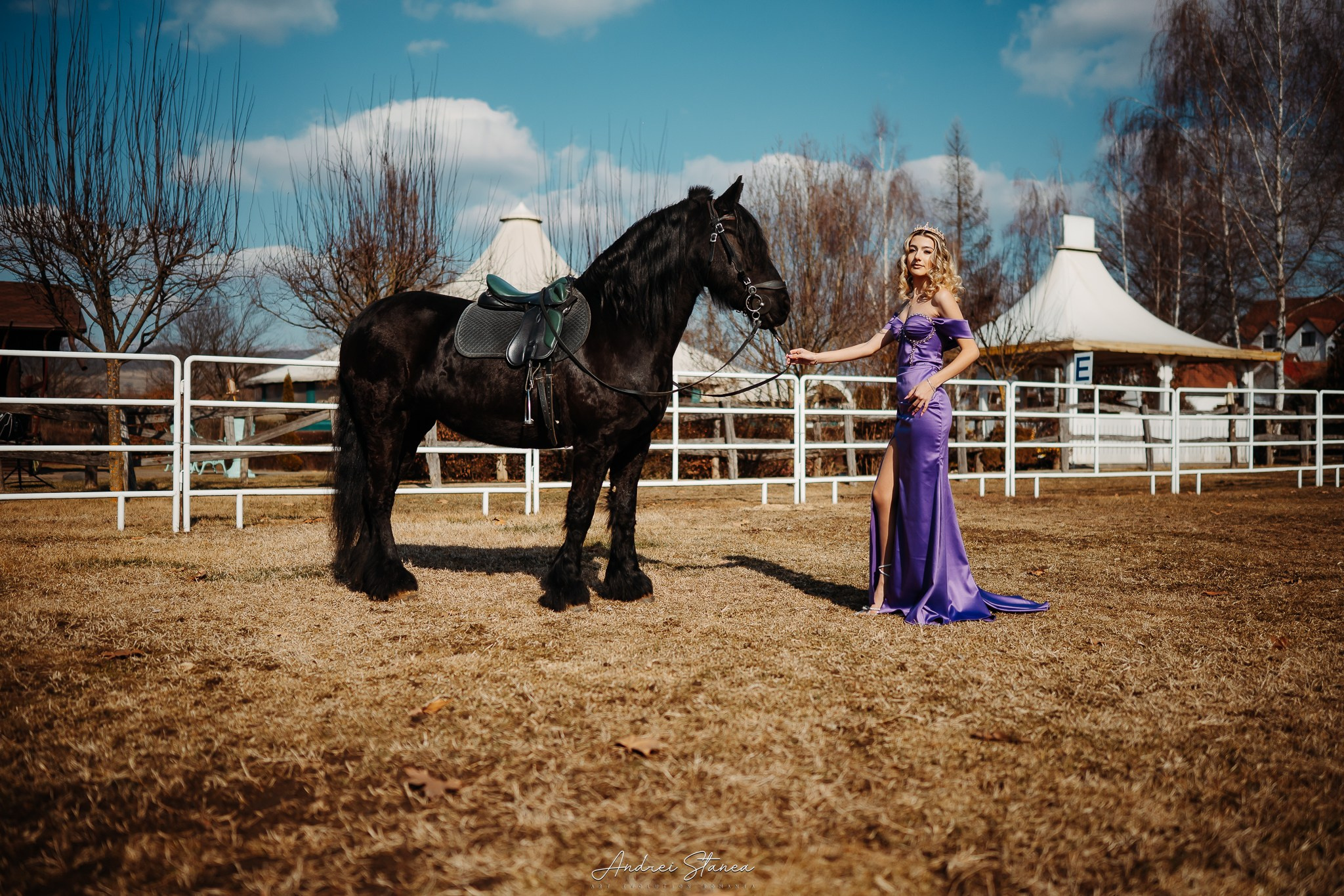 Diana. Andrei Stanea