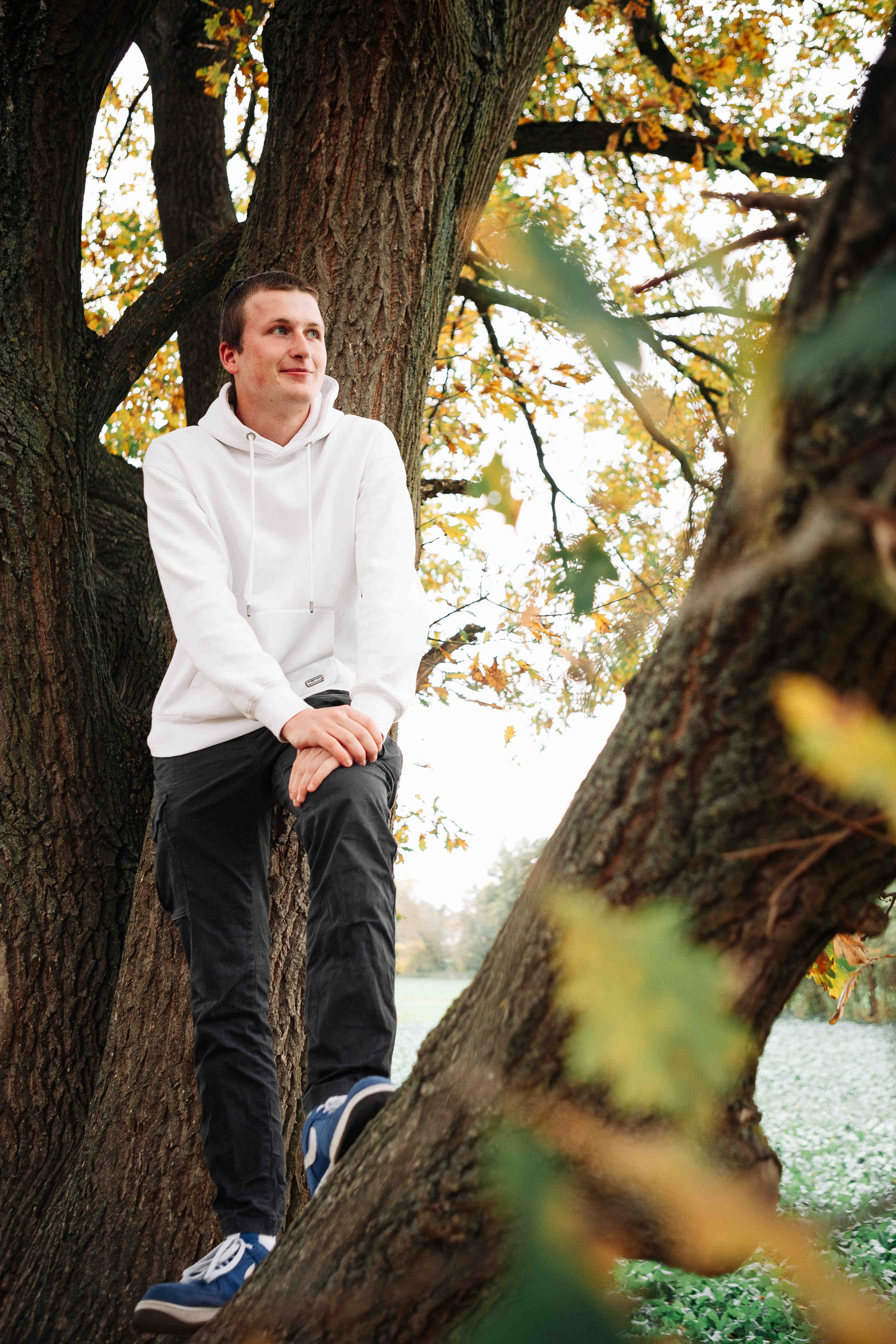 BIG OAK, BIG FAMILY. Https://shi-photo.com/