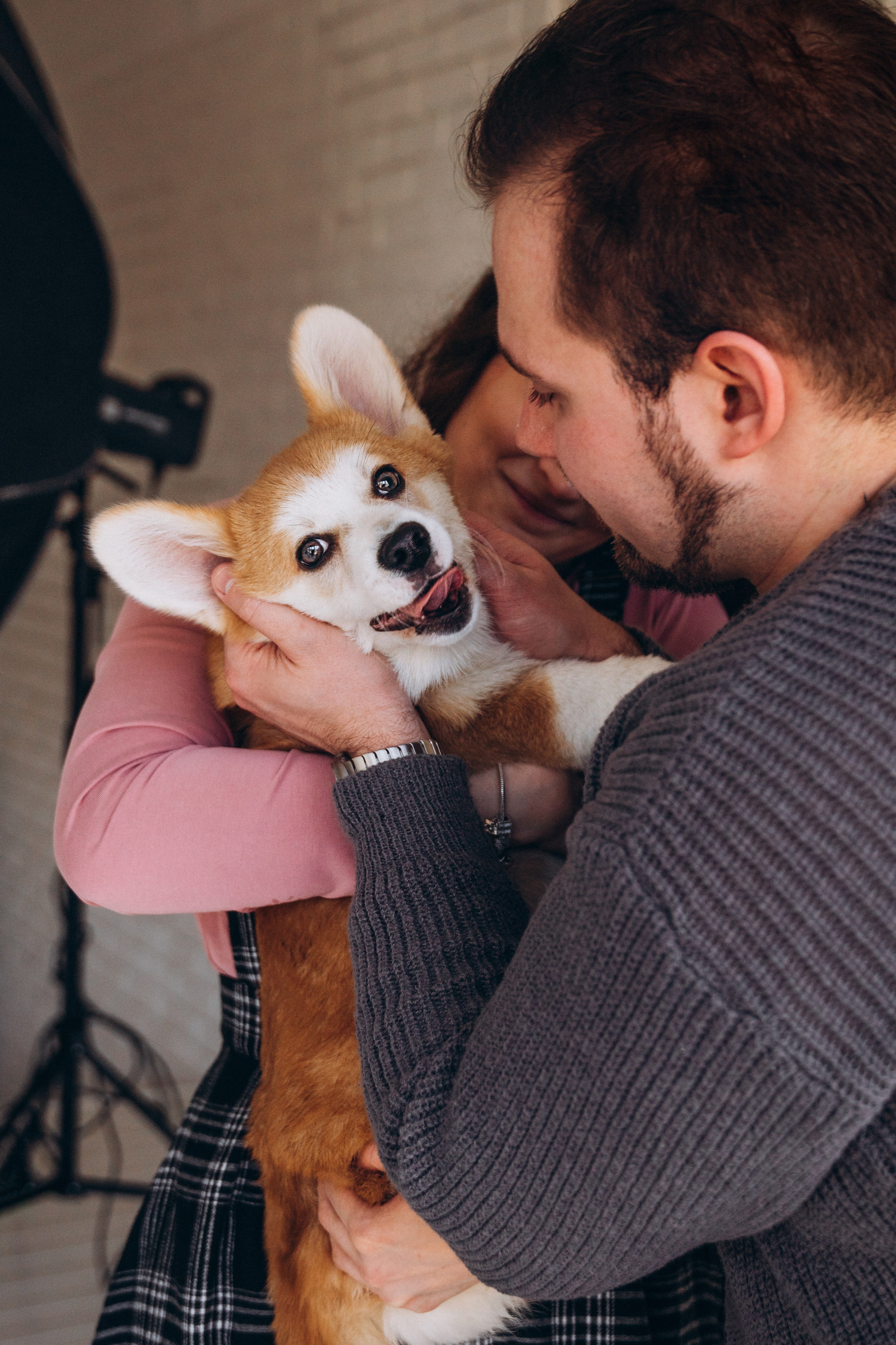 Mars & his Family. Kat Laisaar — Pet photographer in Tallinn
