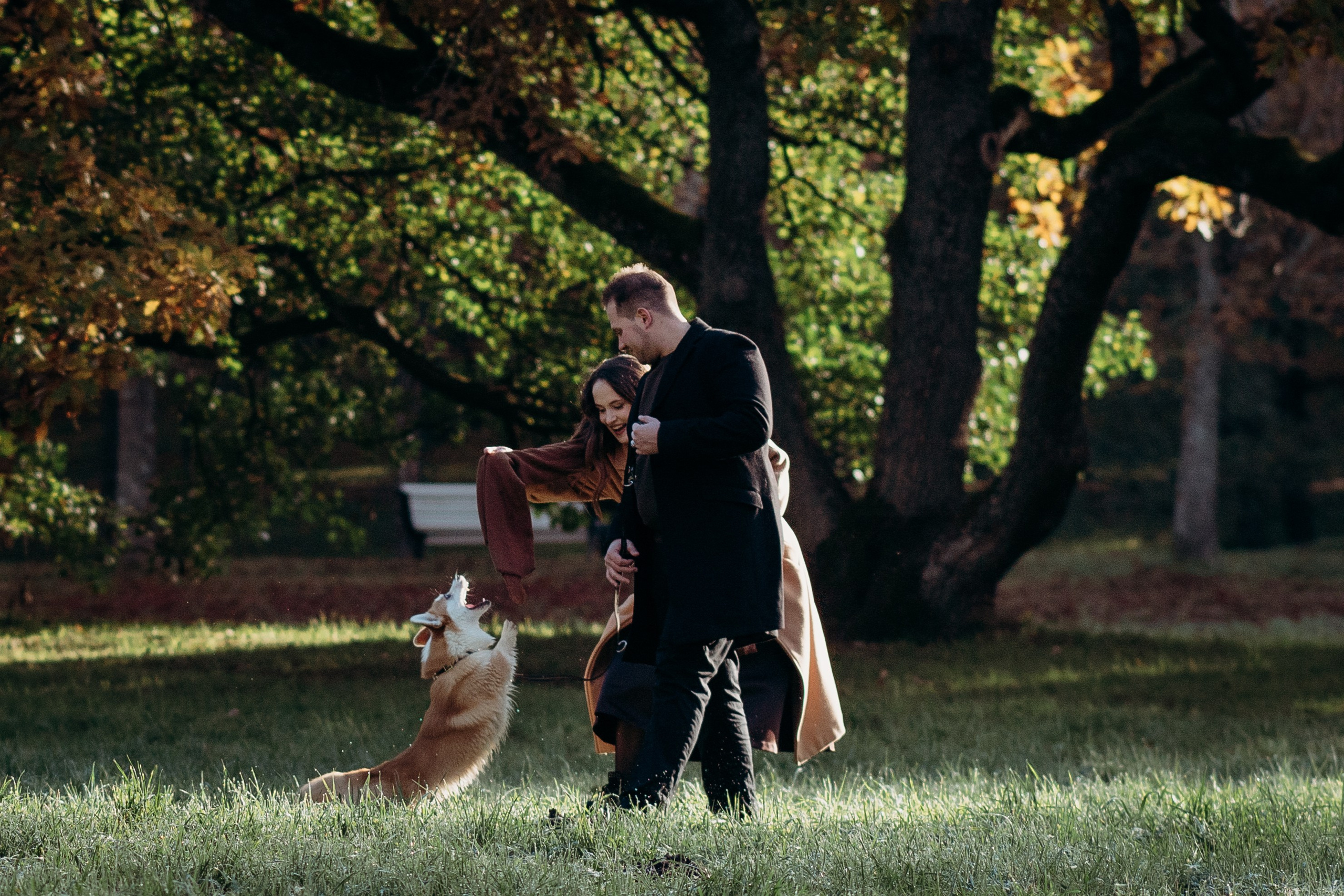 Liisa, Alexander & Marsel. Фотограф-анималист в Таллинне, Катя Лайсаар
