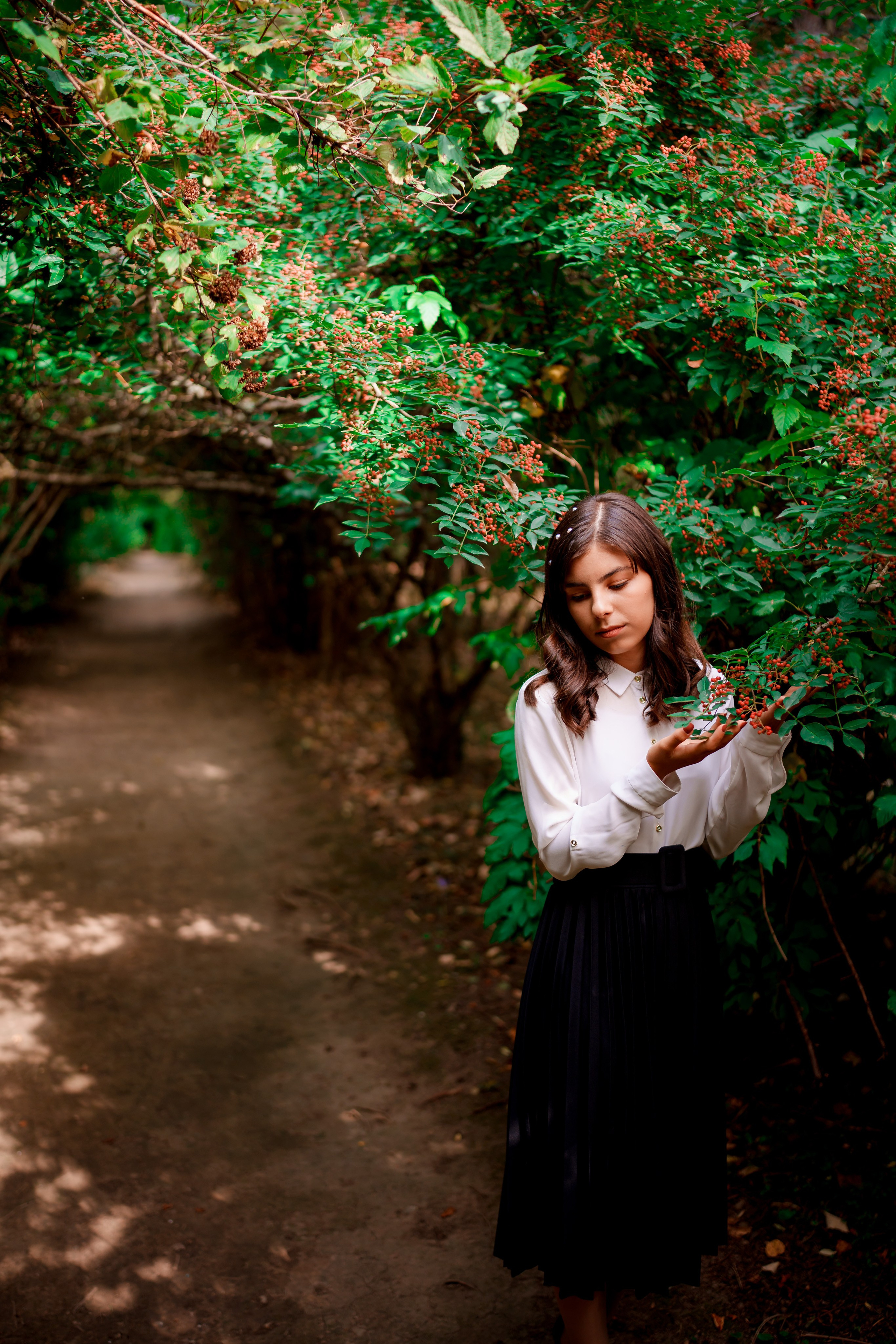 Parcul Dendrologic Gurahonț Gratuit. Trendy Albums