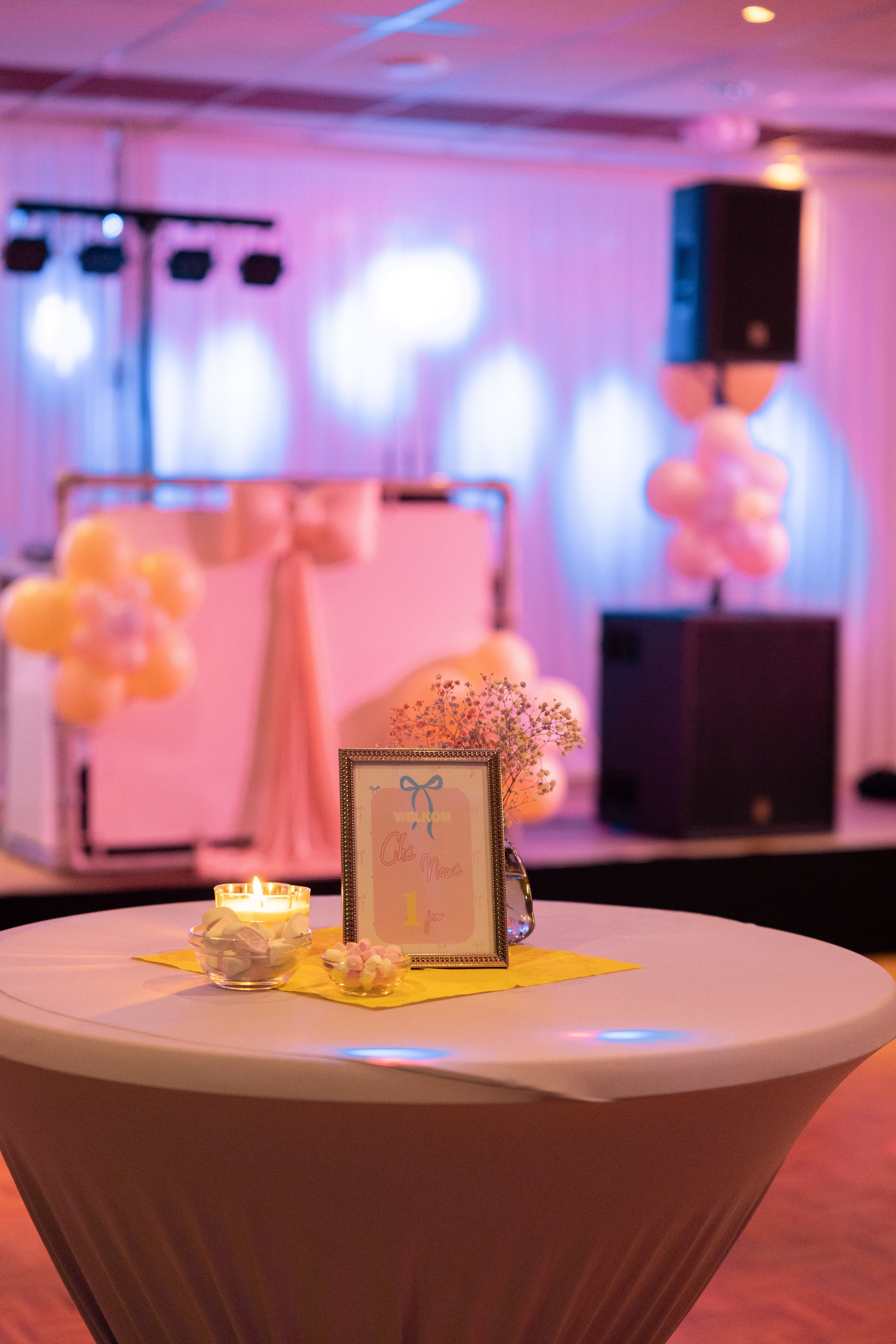 1 st Birthday. Portrait and Family Photographer in Netherlands