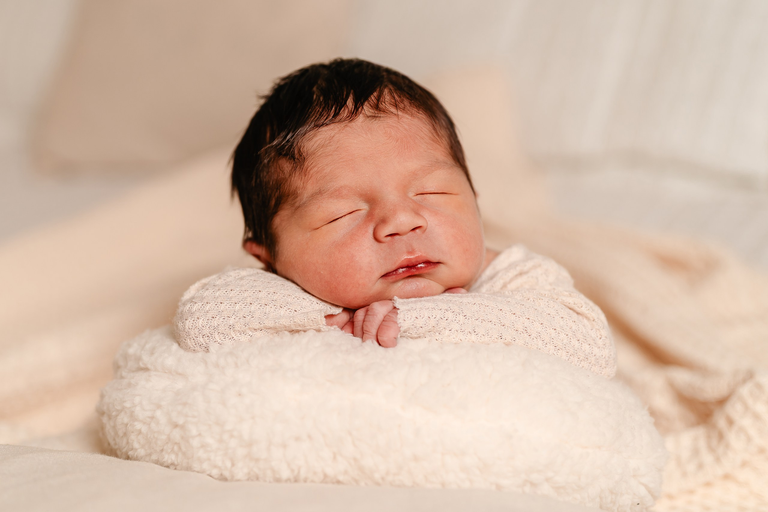 Leo — Newborn. Beneduzzi Fotografias