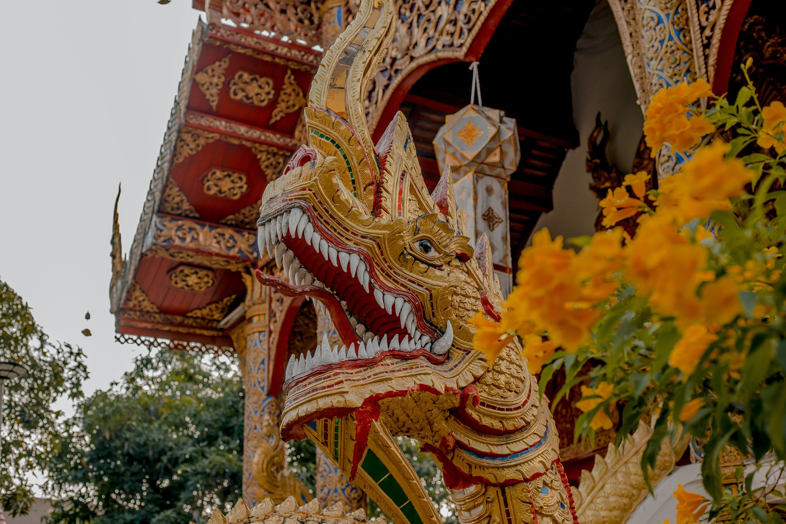 Thailand, Chiang Mai. Art Photographer